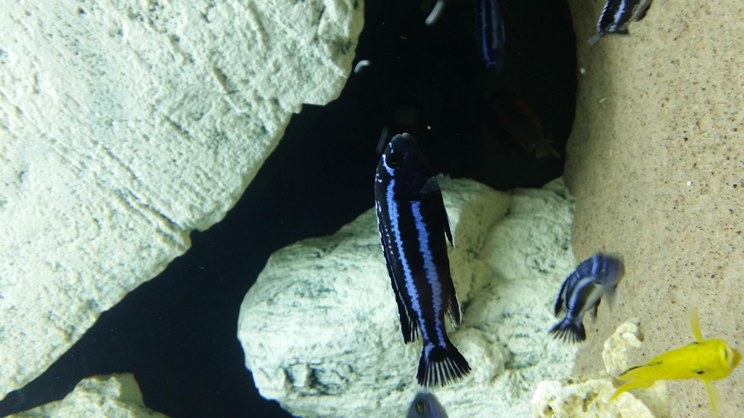 20151101_191133.jpg