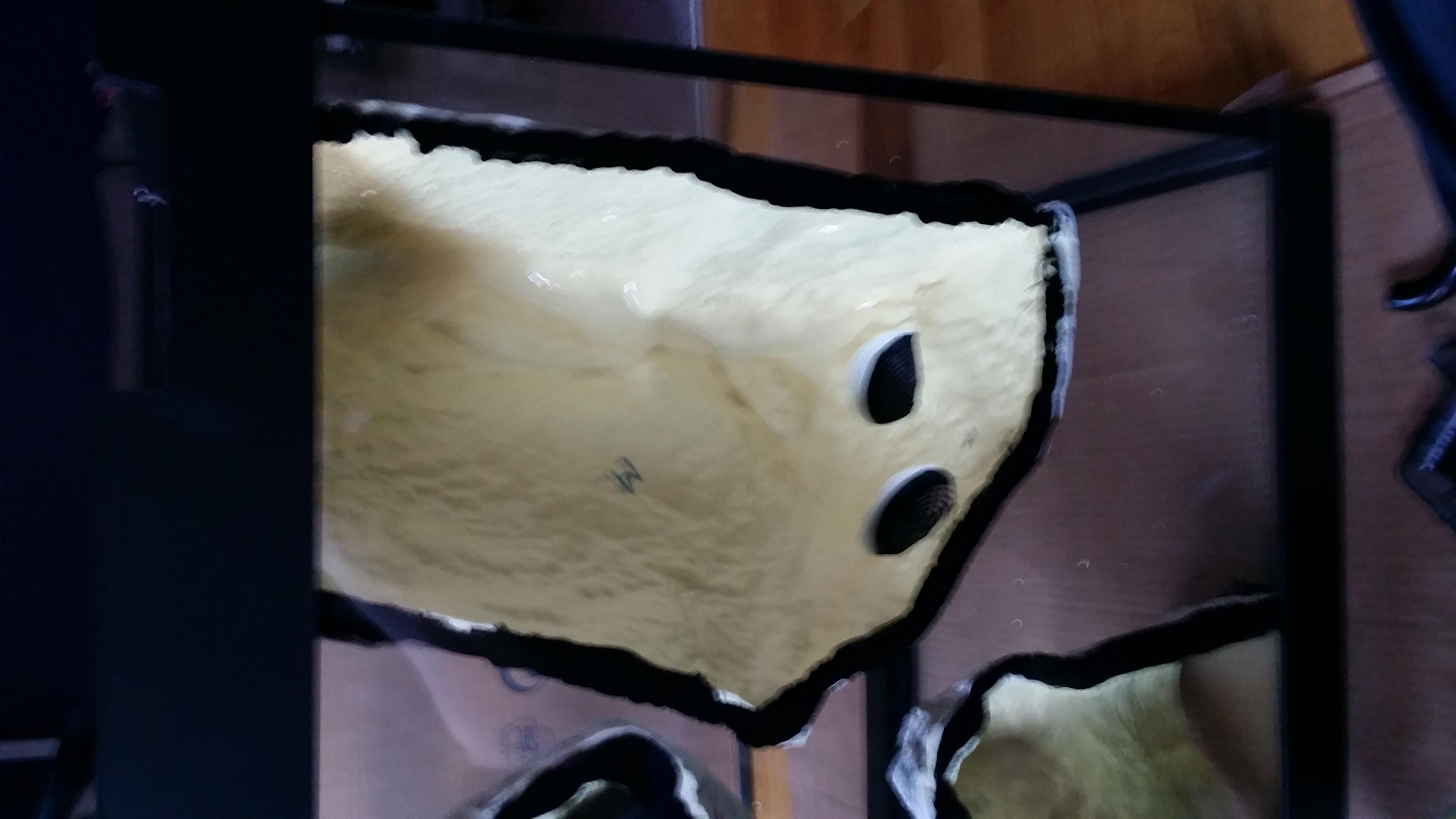 20151025_113937.jpg