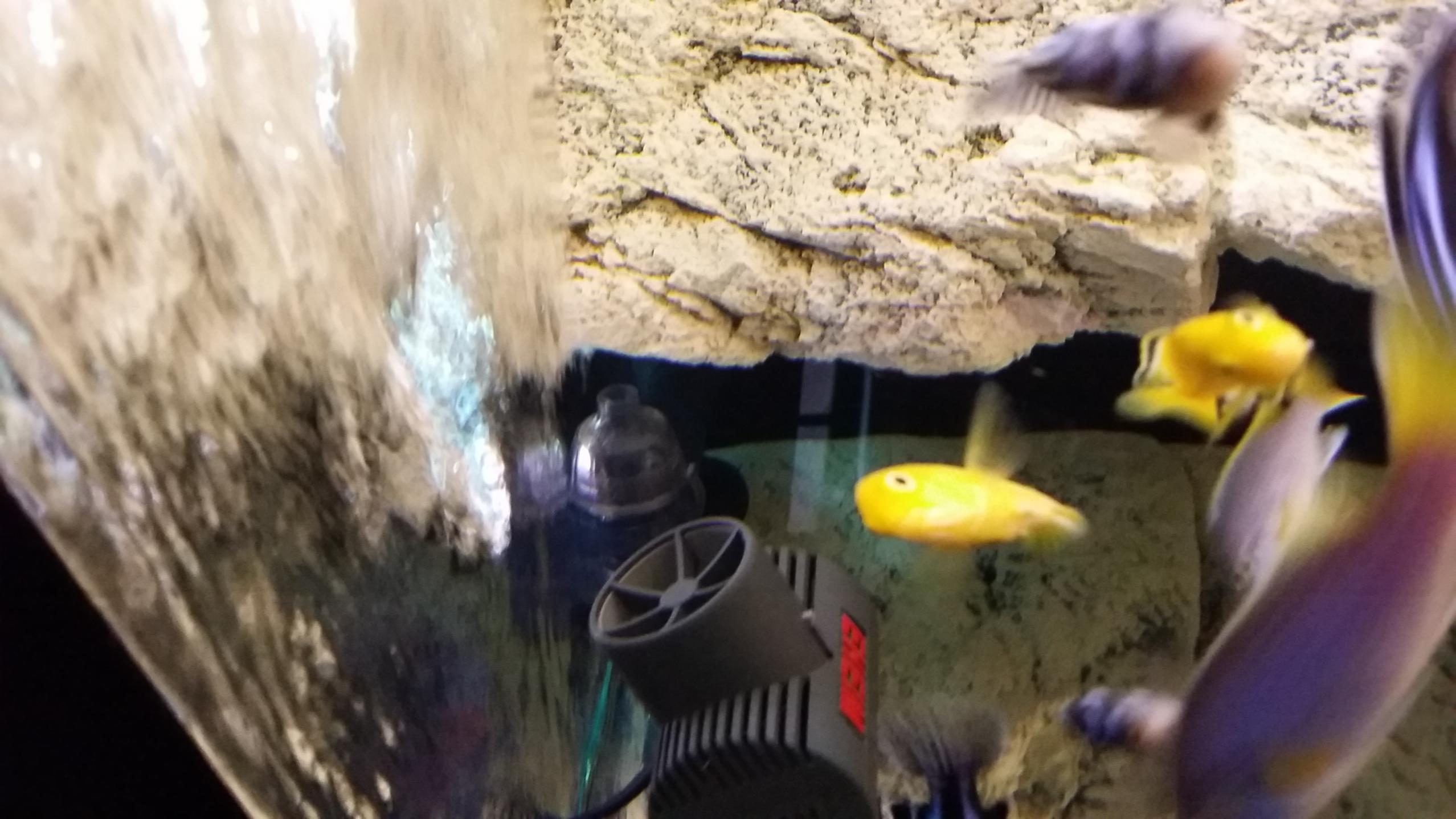 20151115_195620.jpg