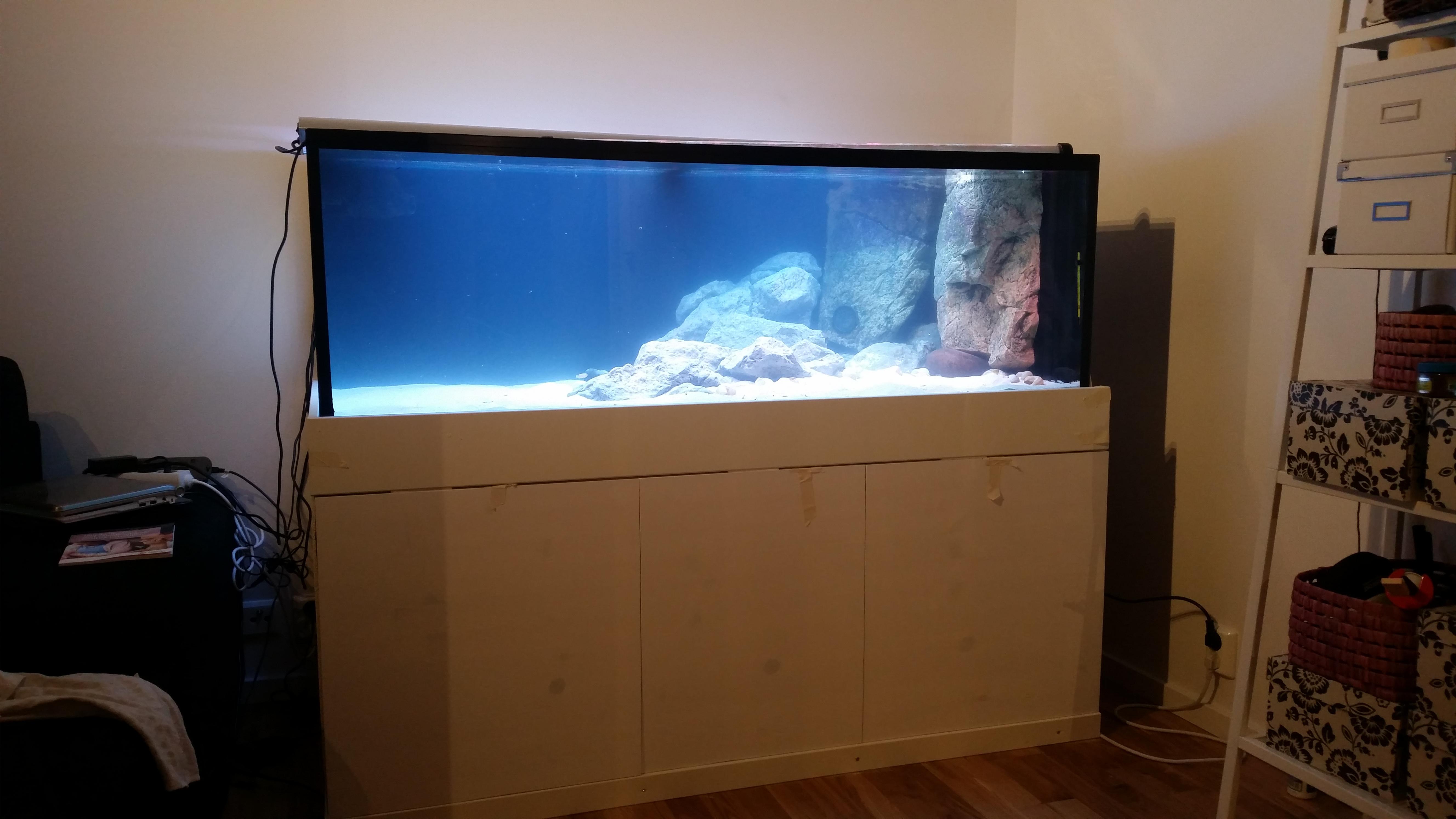 20160818_220941.jpg