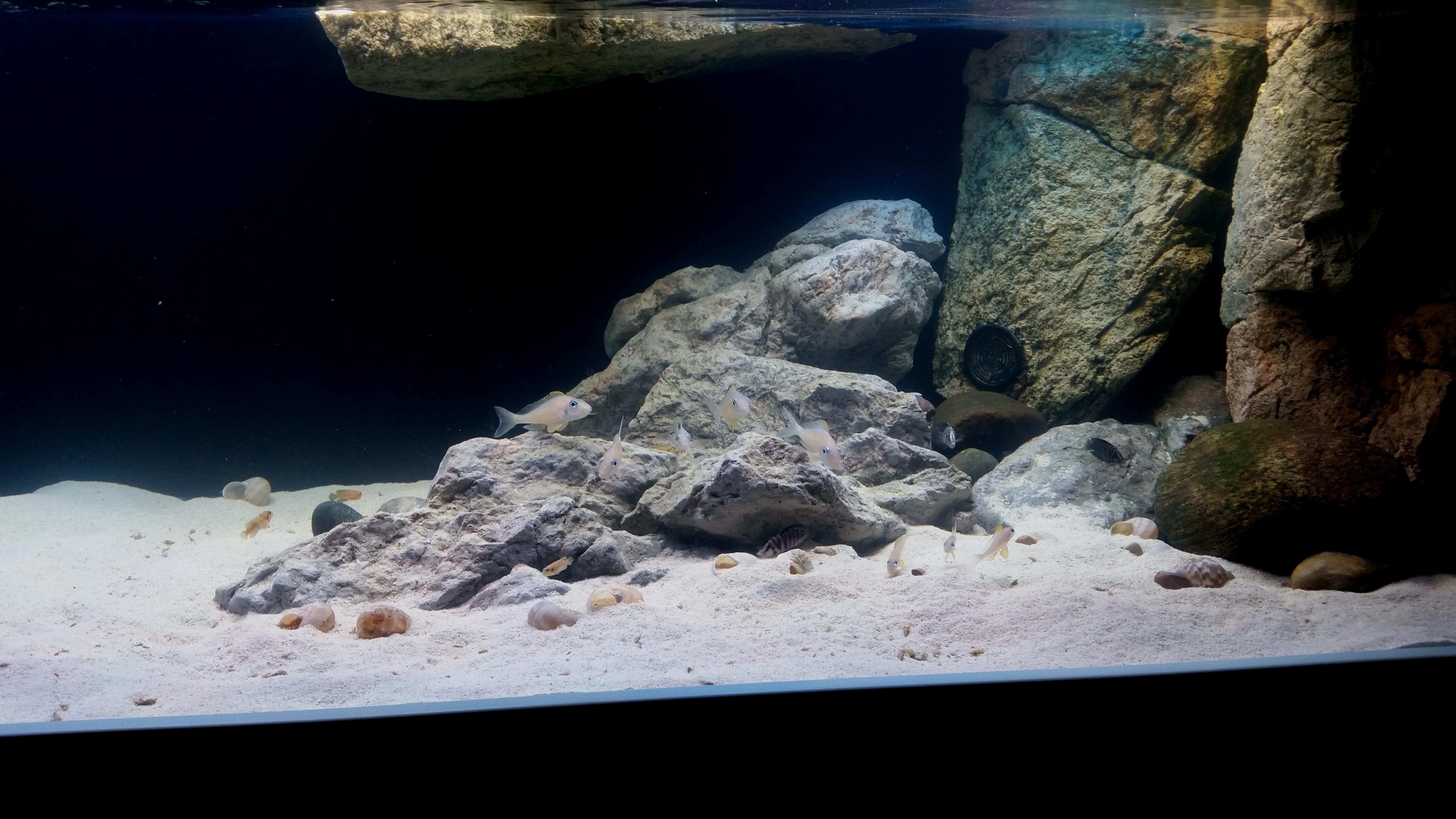 20160822_211901.jpg