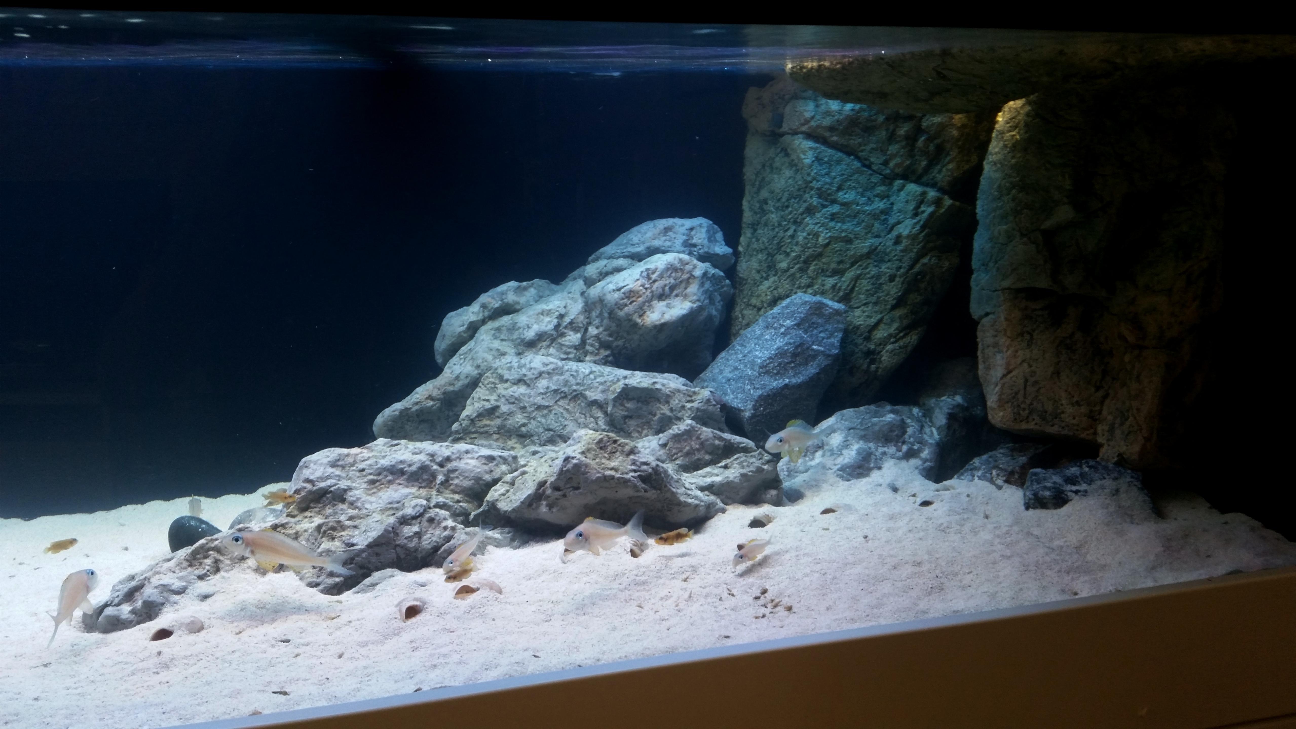 20160823_163144.jpg