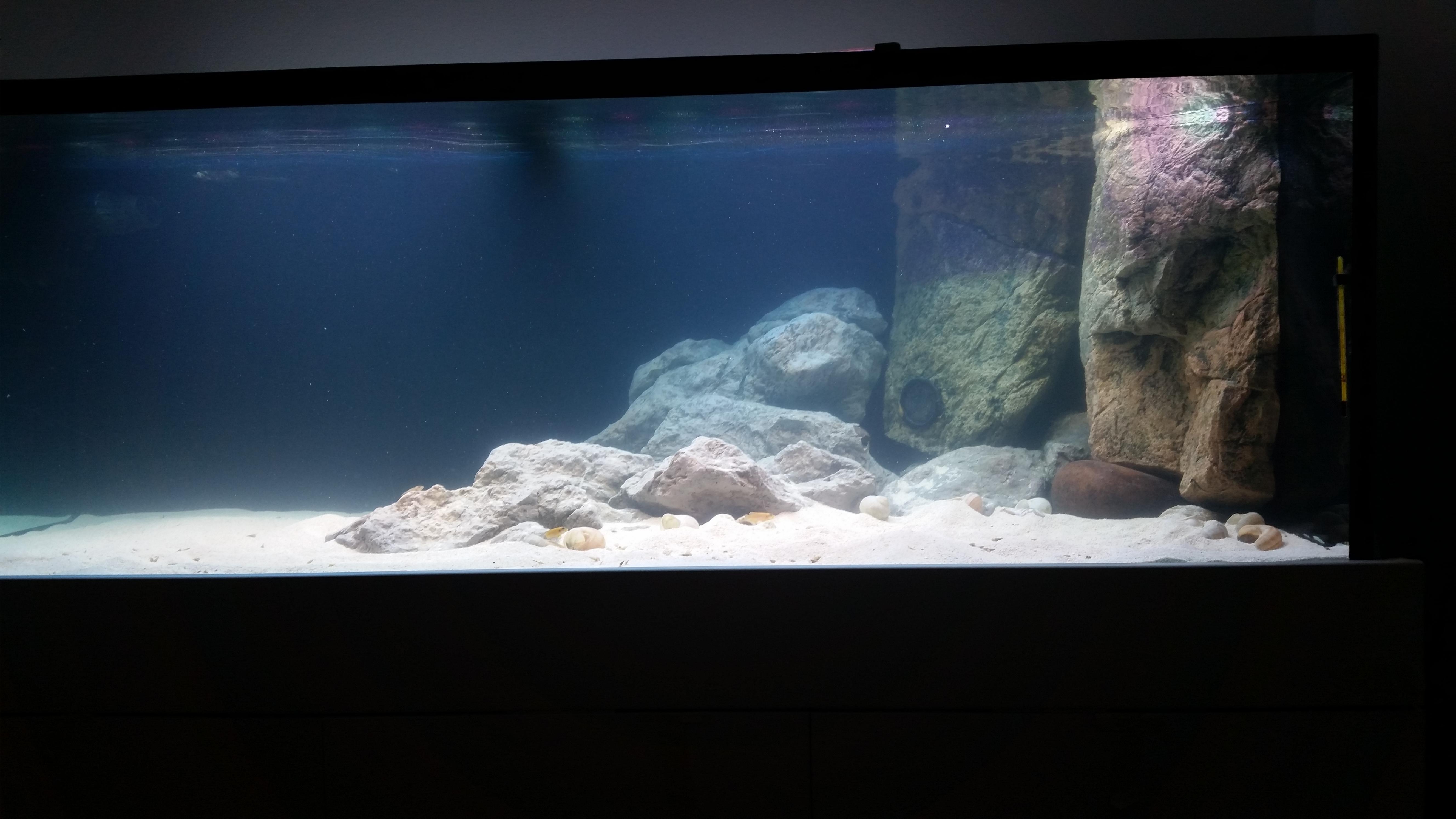 20160818_221557.jpg