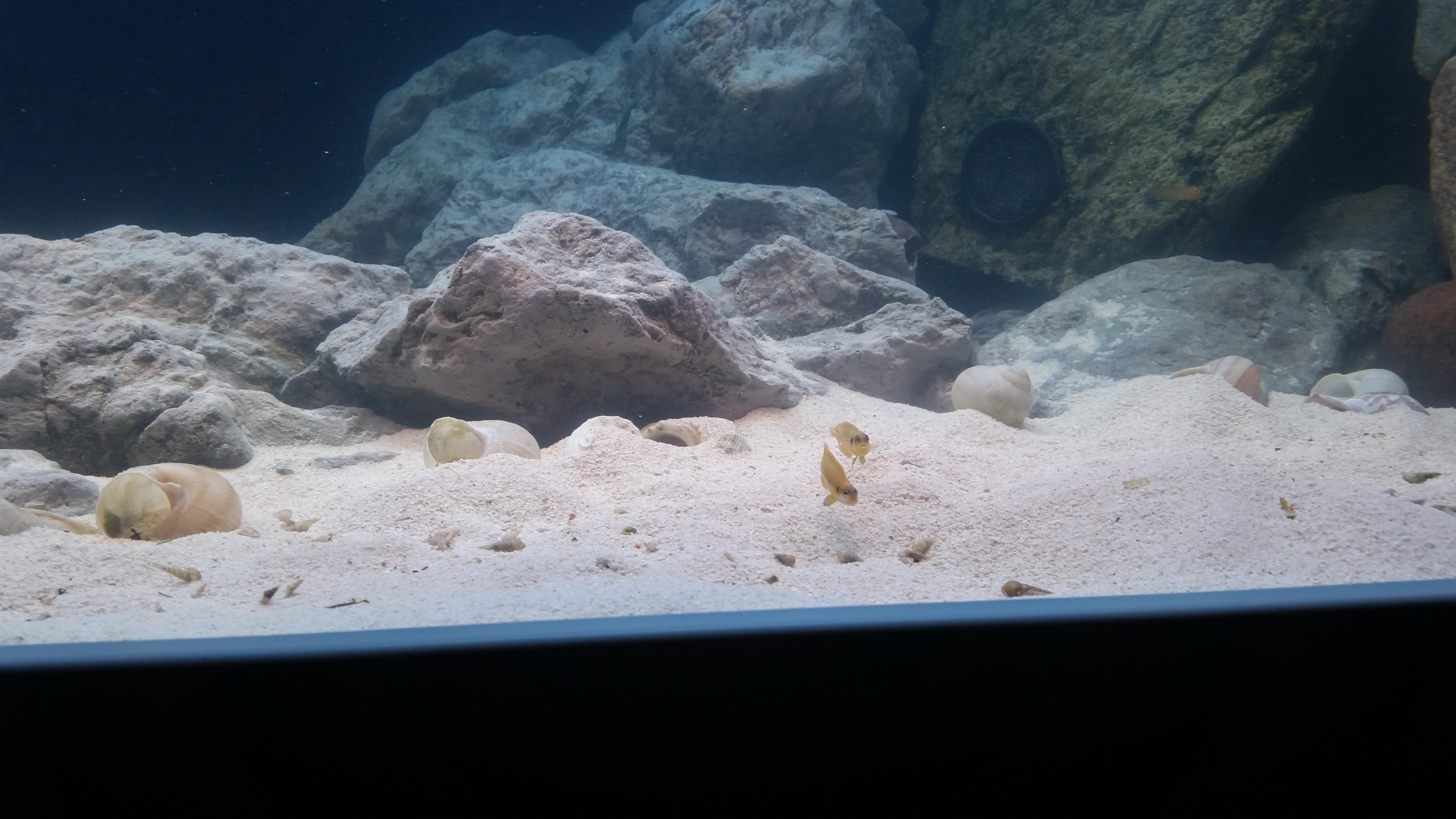 20160818_221612.jpg