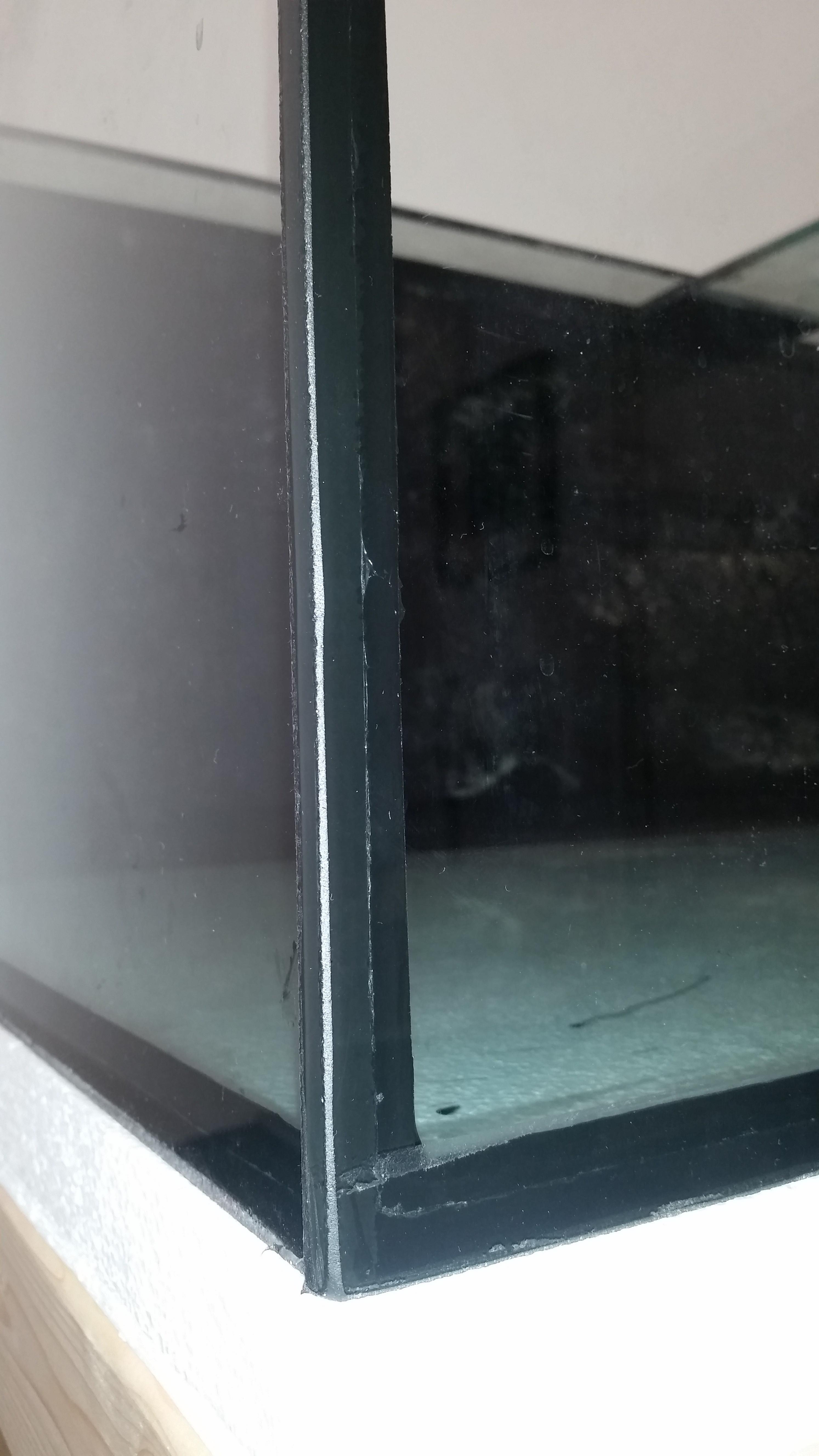 20160607_121251.jpg