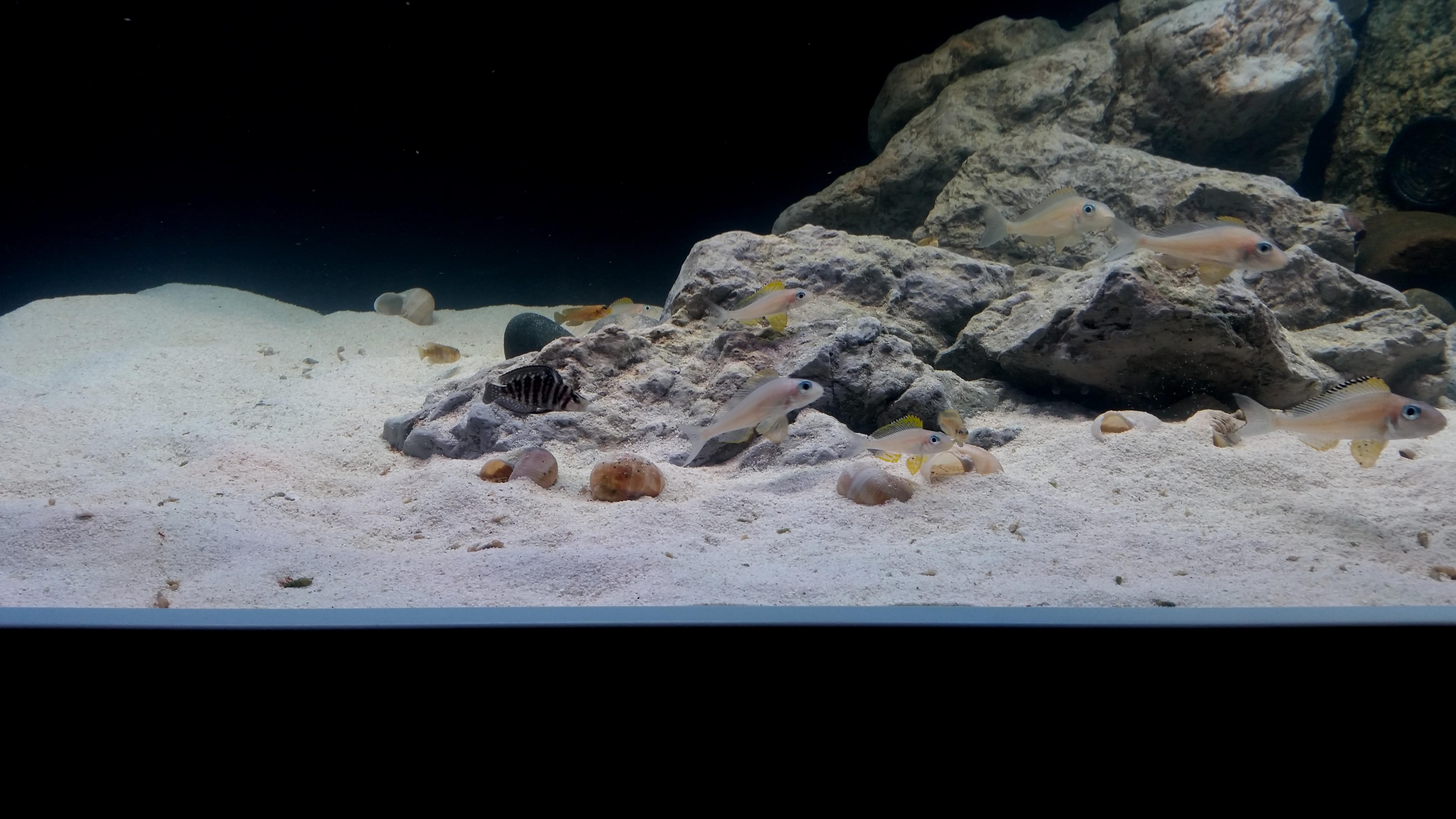 20160822_211928.jpg