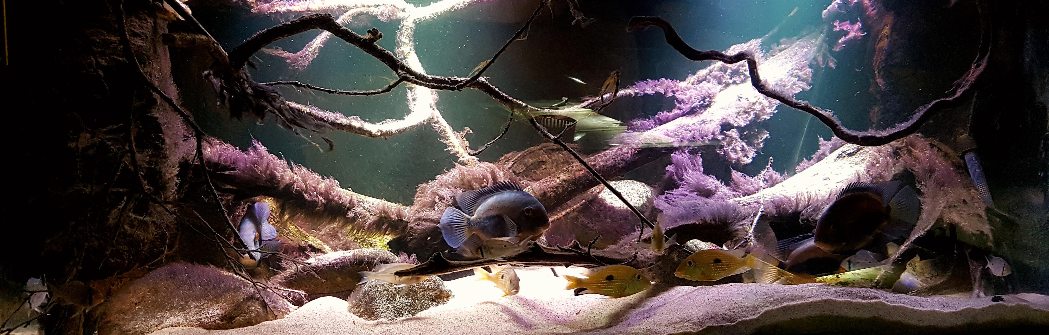2016-09-26 18.22.14.jpg