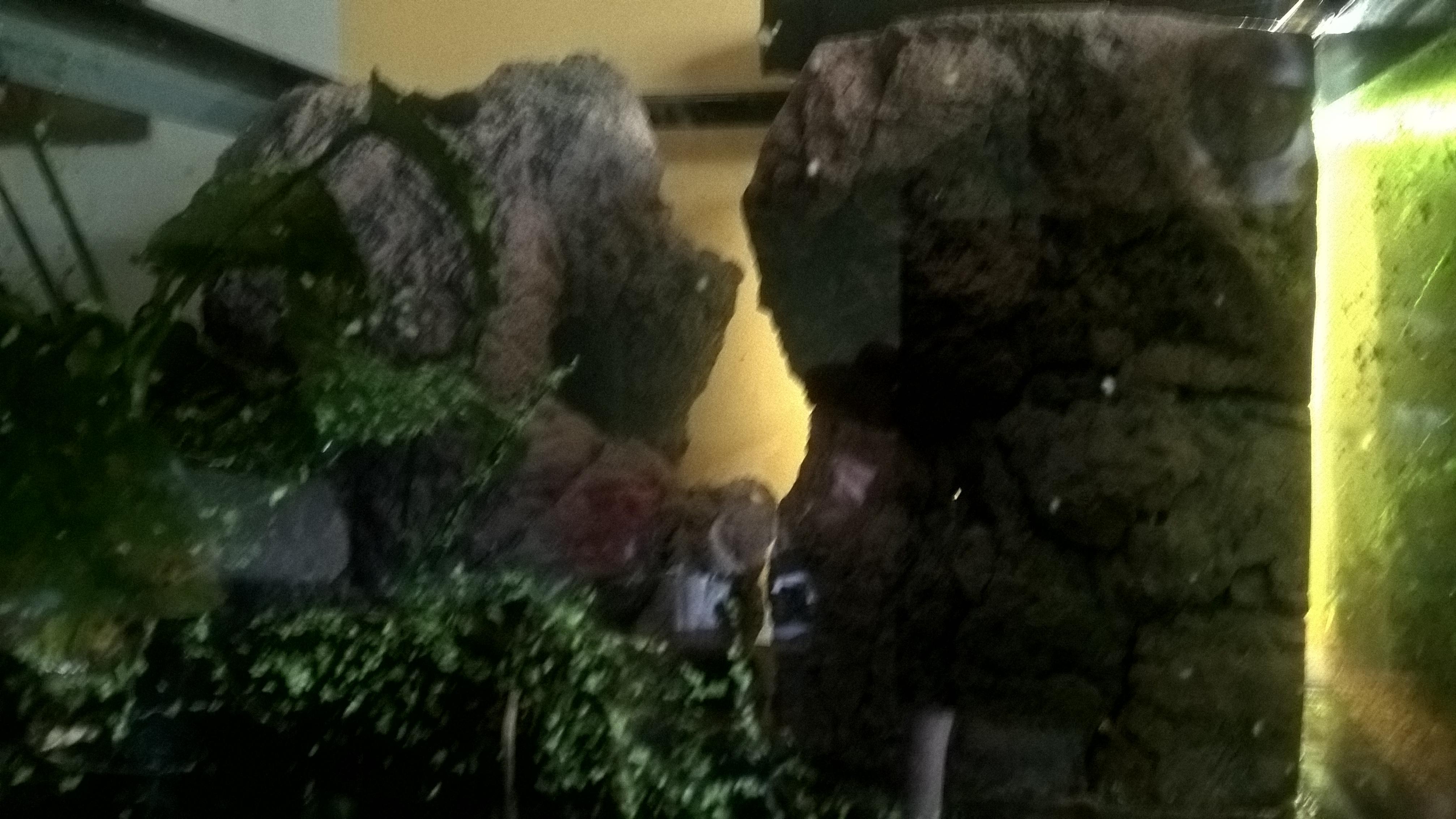 WP_20160915_07_43_44_Pro.jpg