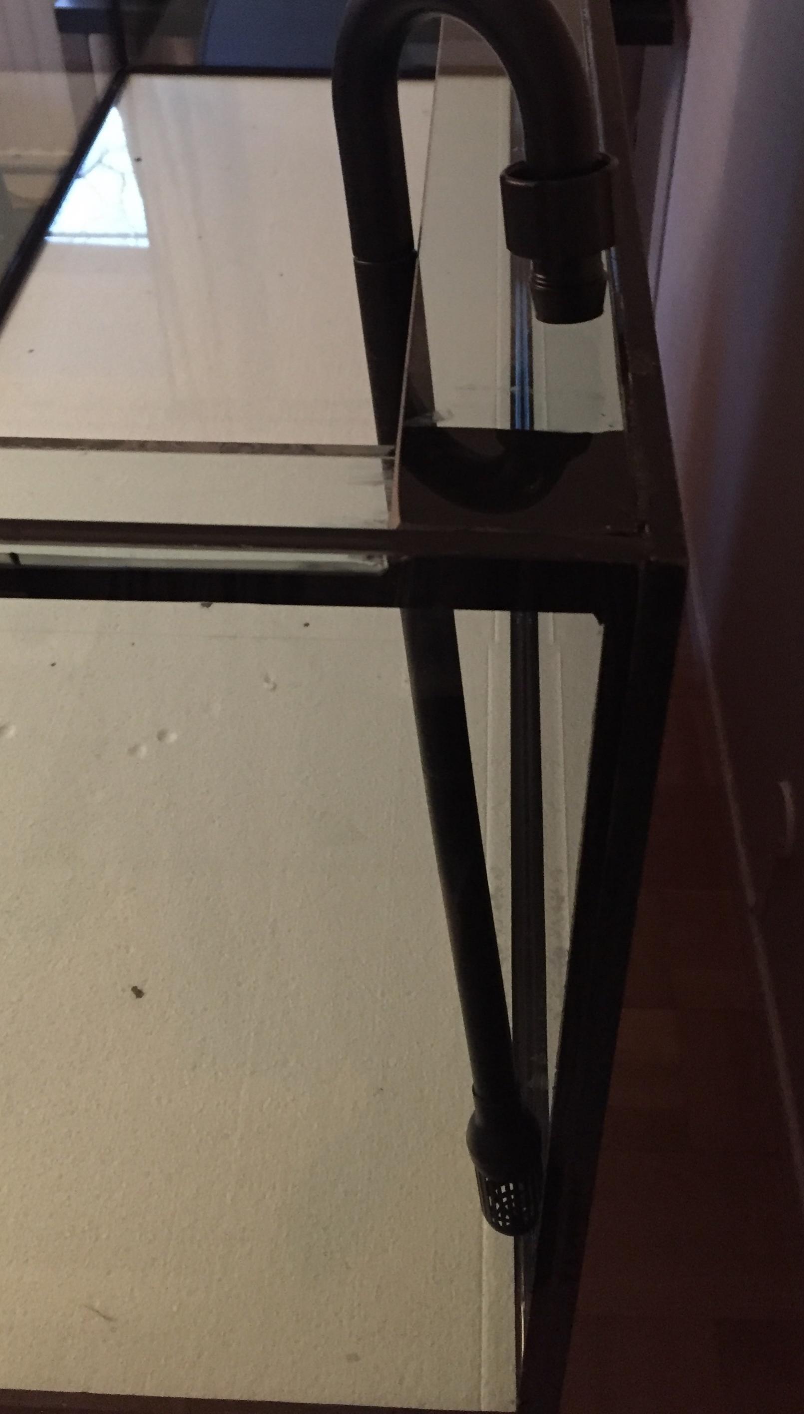 FullSizeRender.jpg