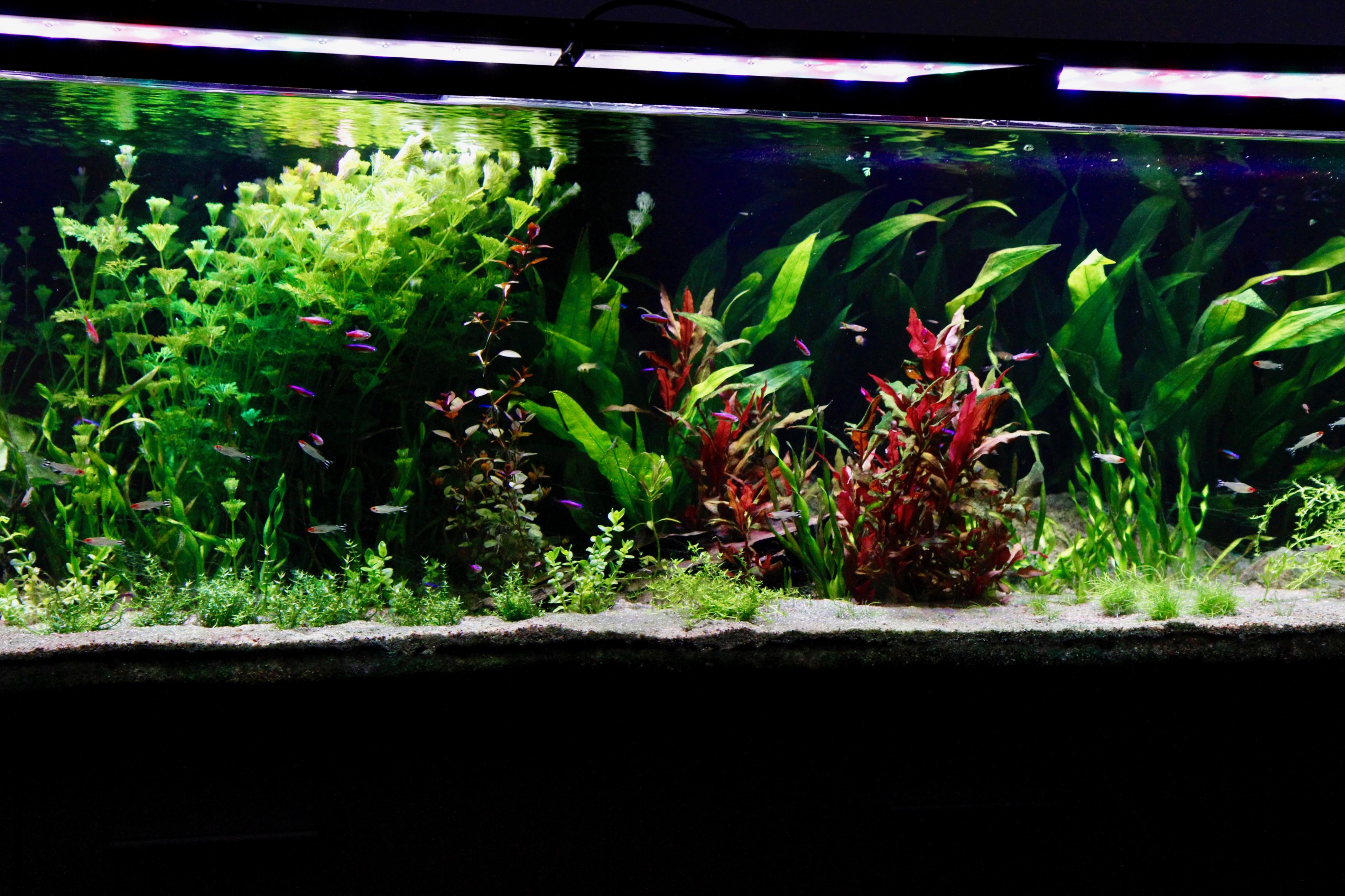 _MG_8751 2.jpg