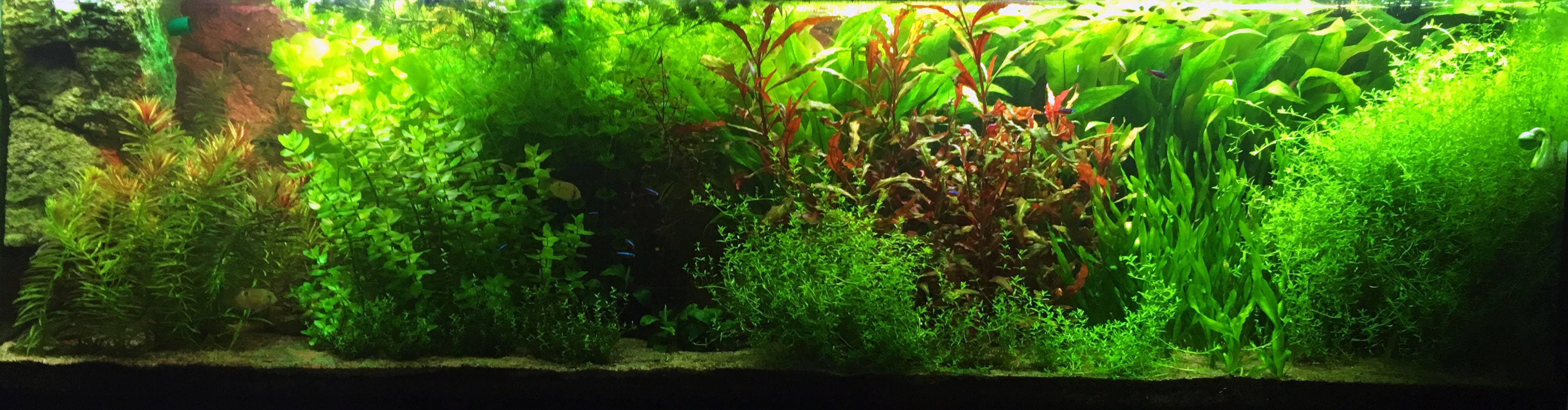 akvarium2.jpg