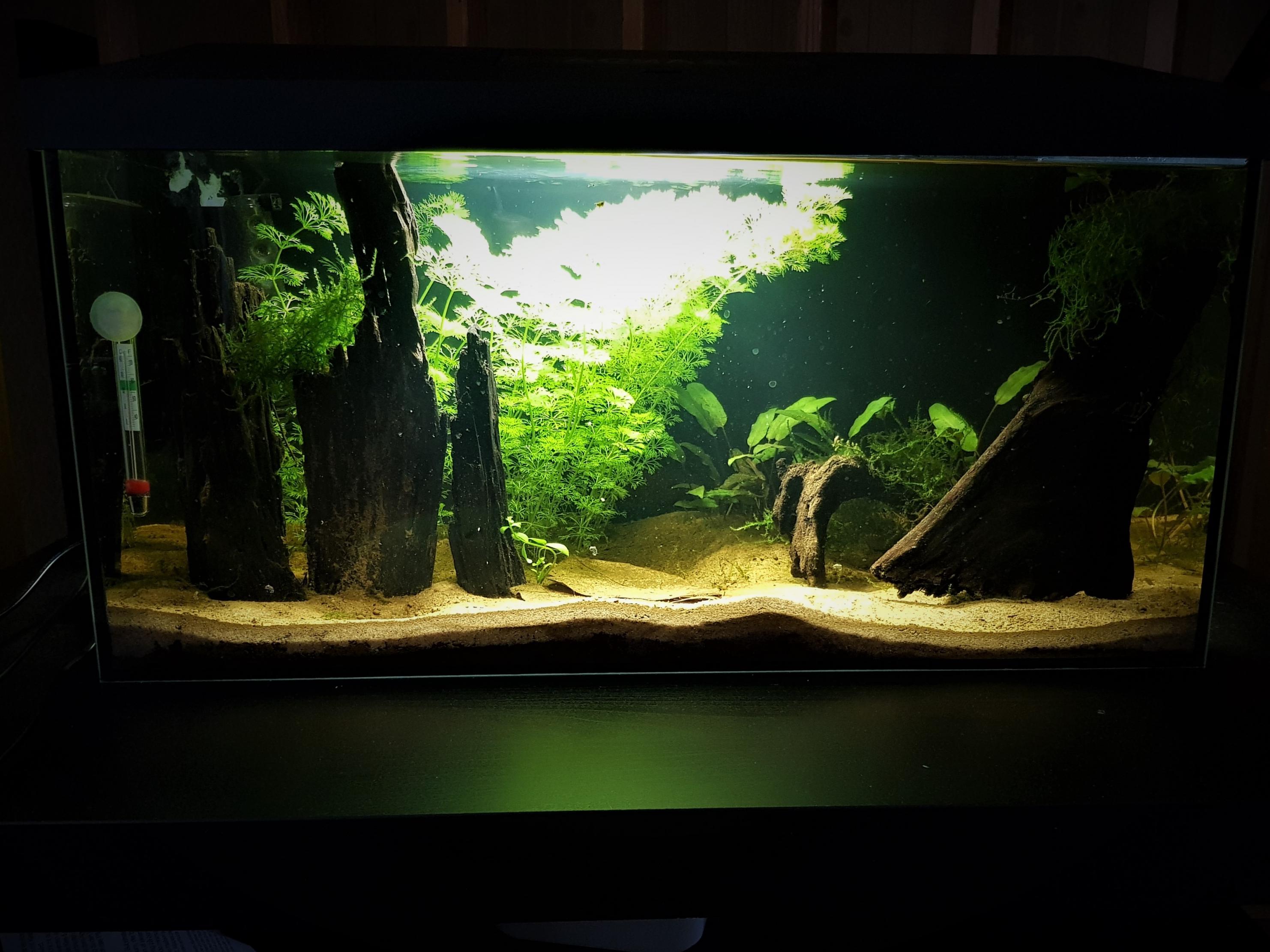 54 liters.jpg