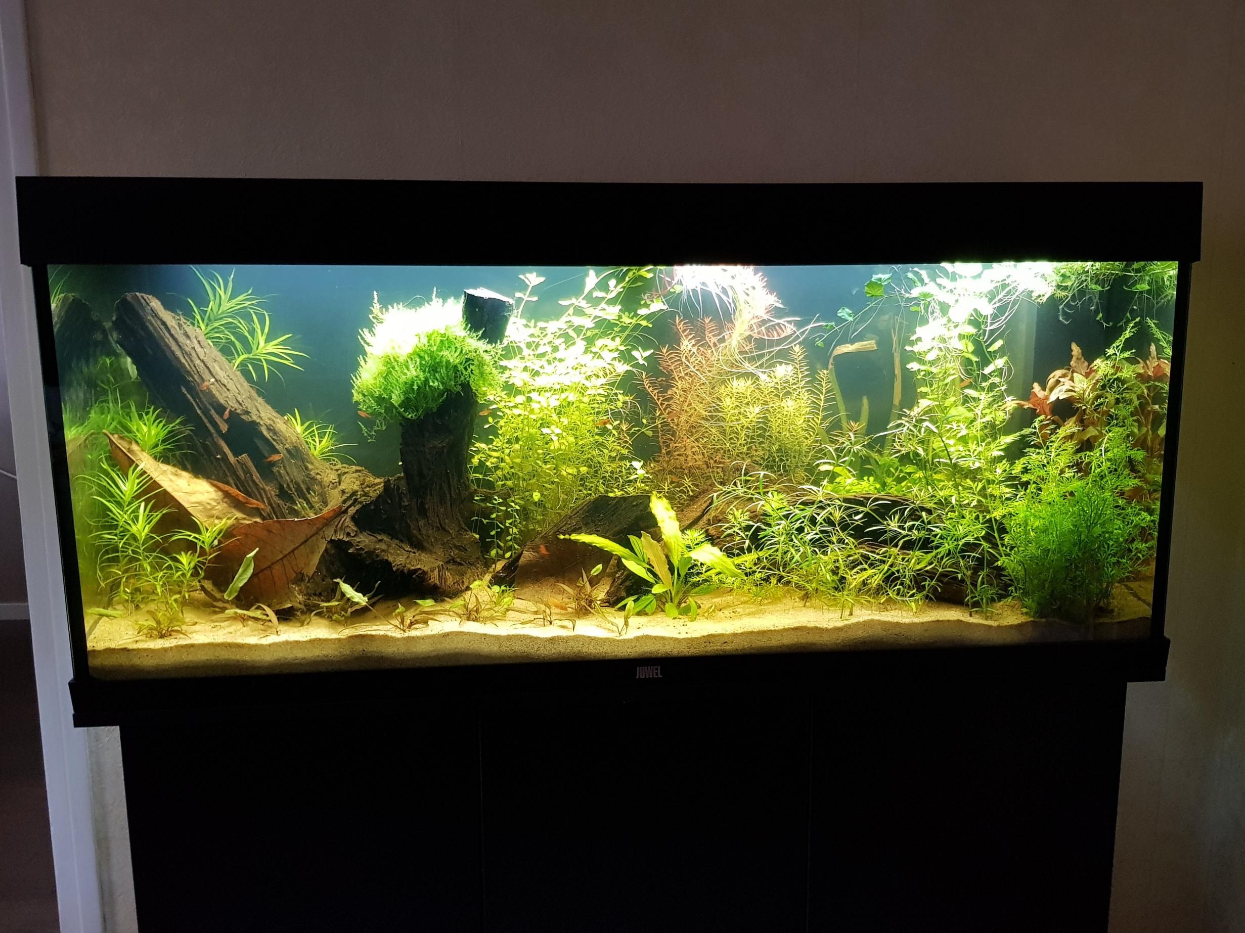 240 liters.jpg