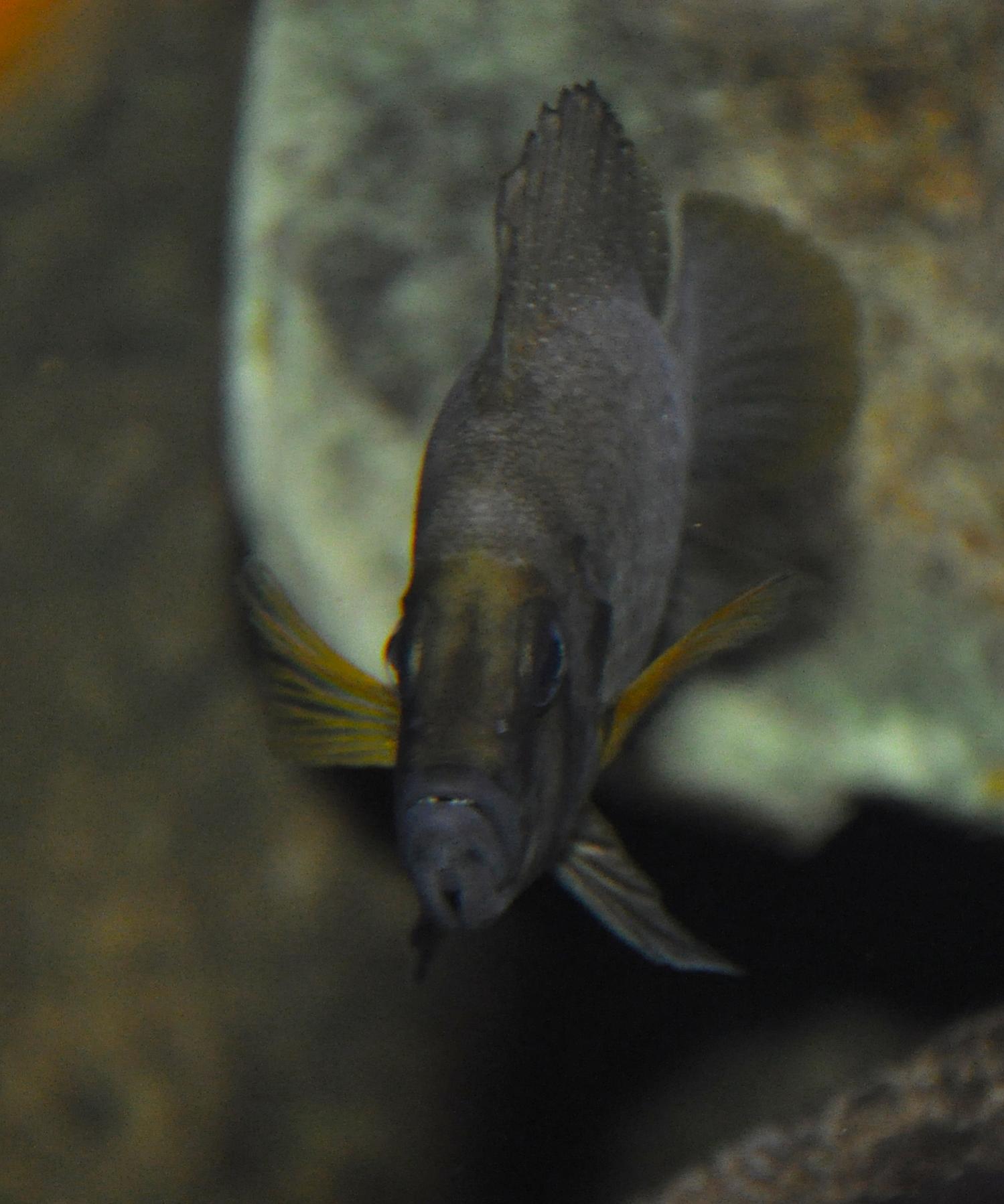 DSC_0226.jpg