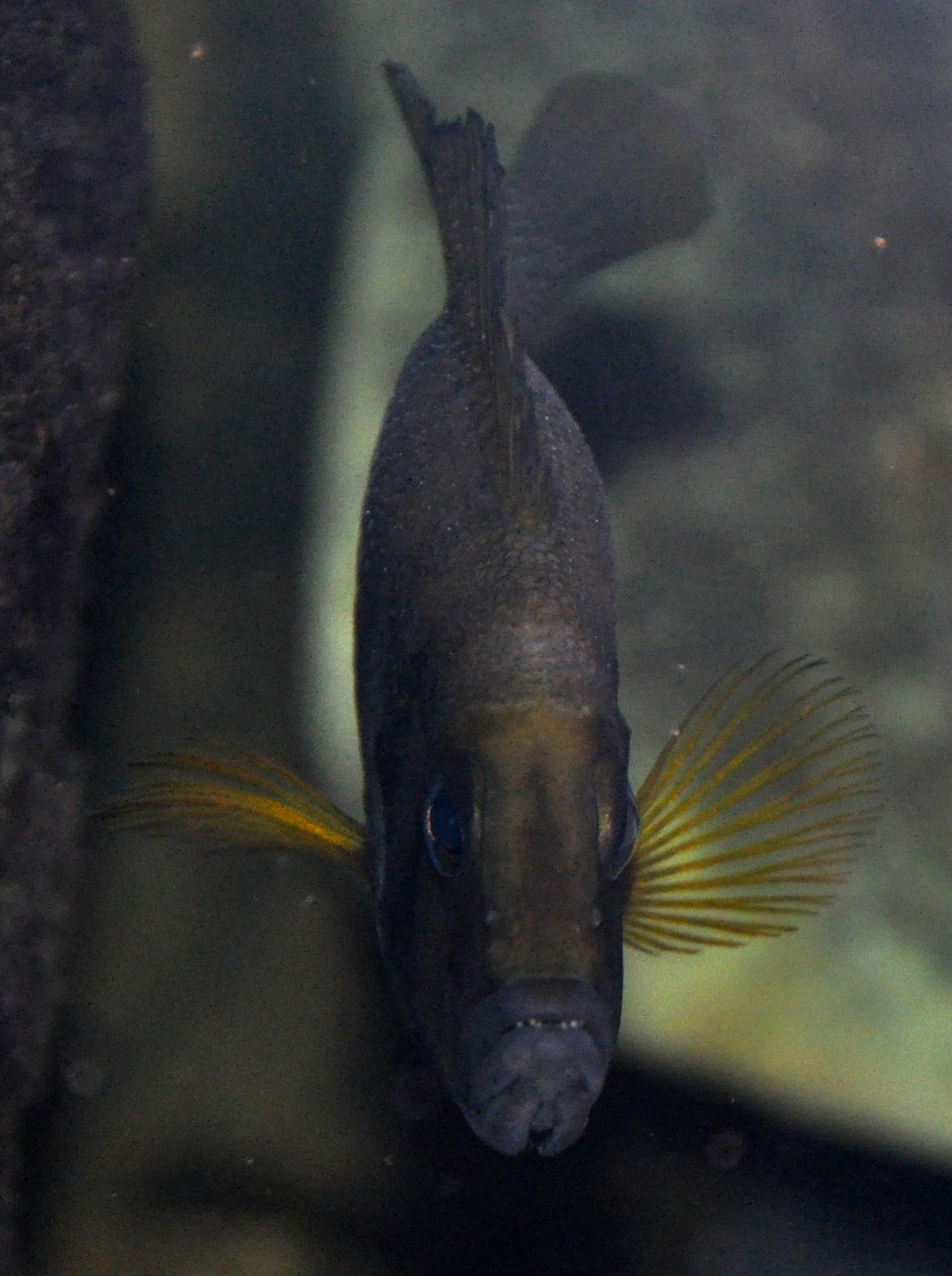 DSC_0119.jpg