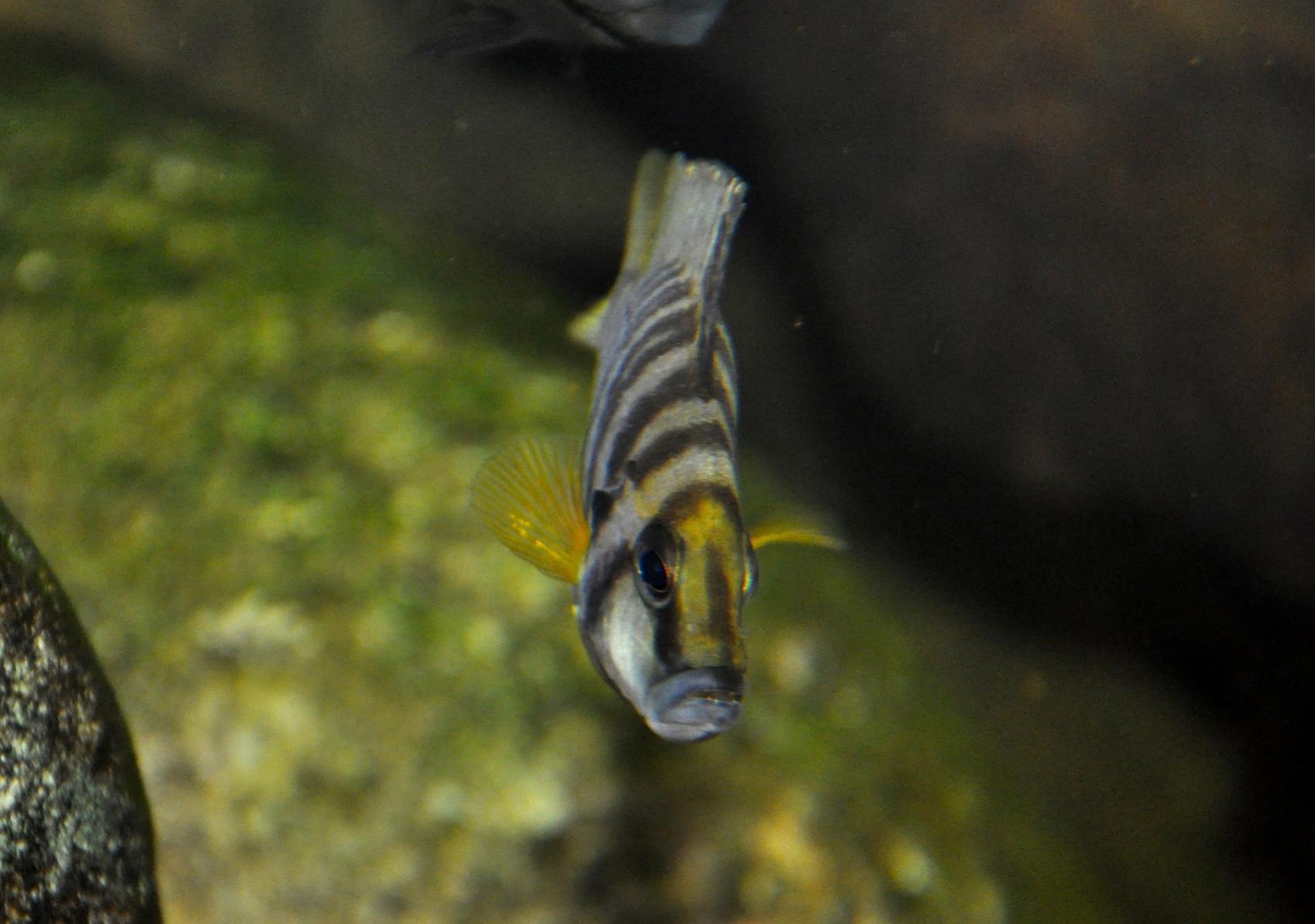 DSC_0402.jpg