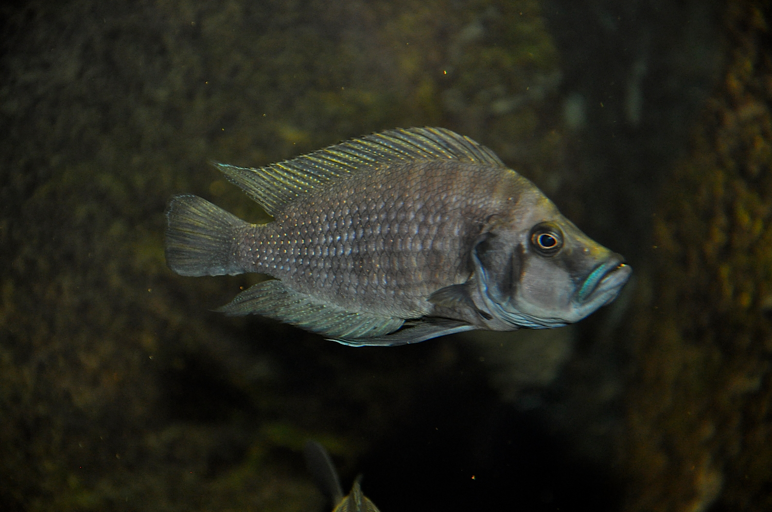 DSC_0283.JPG
