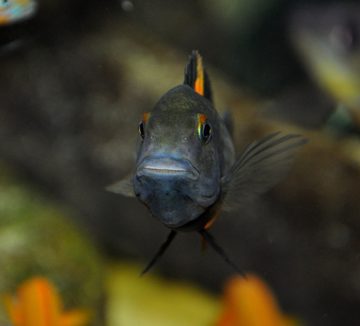 DSC_0285.JPG