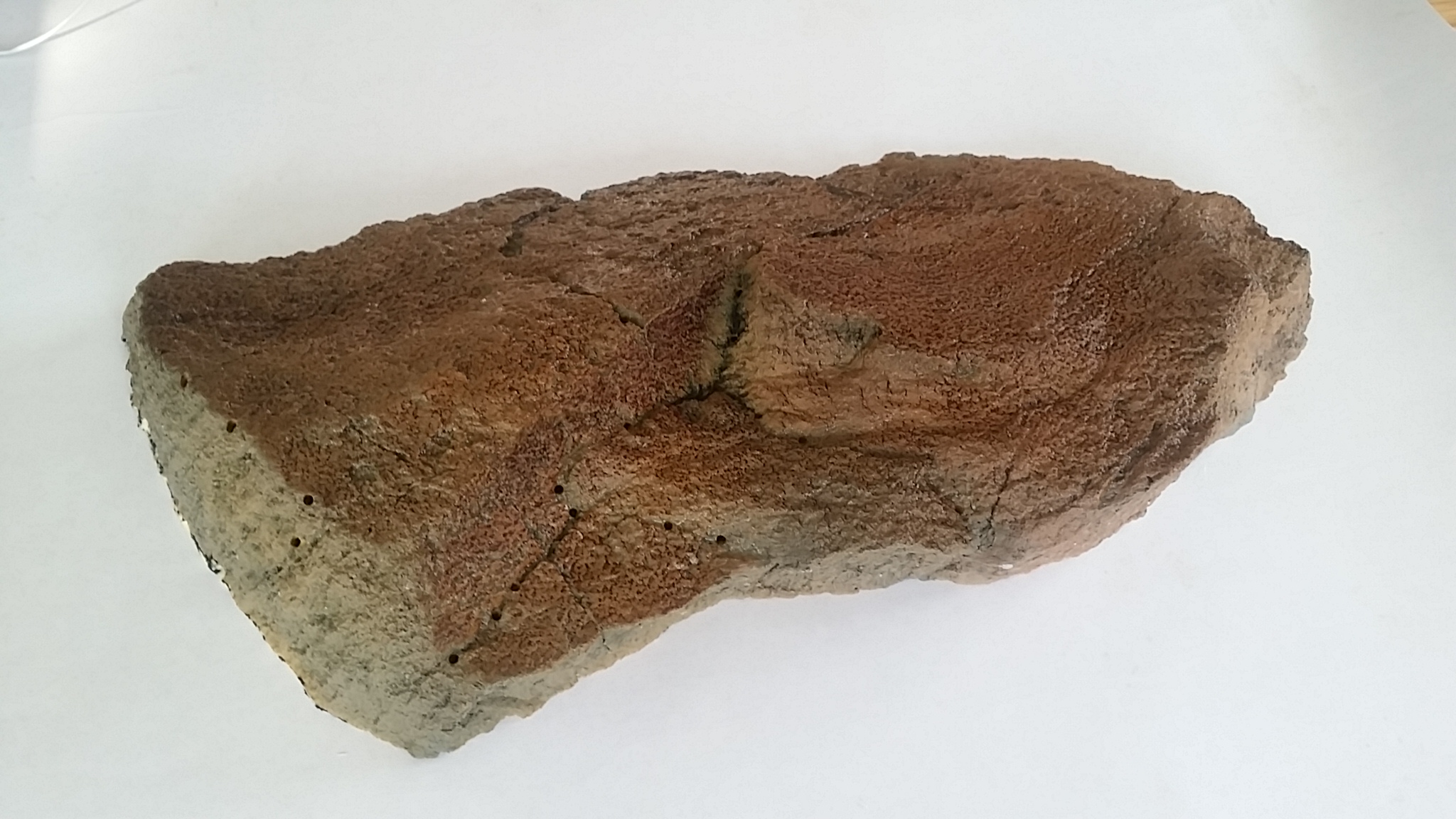 20150623_192324.jpg