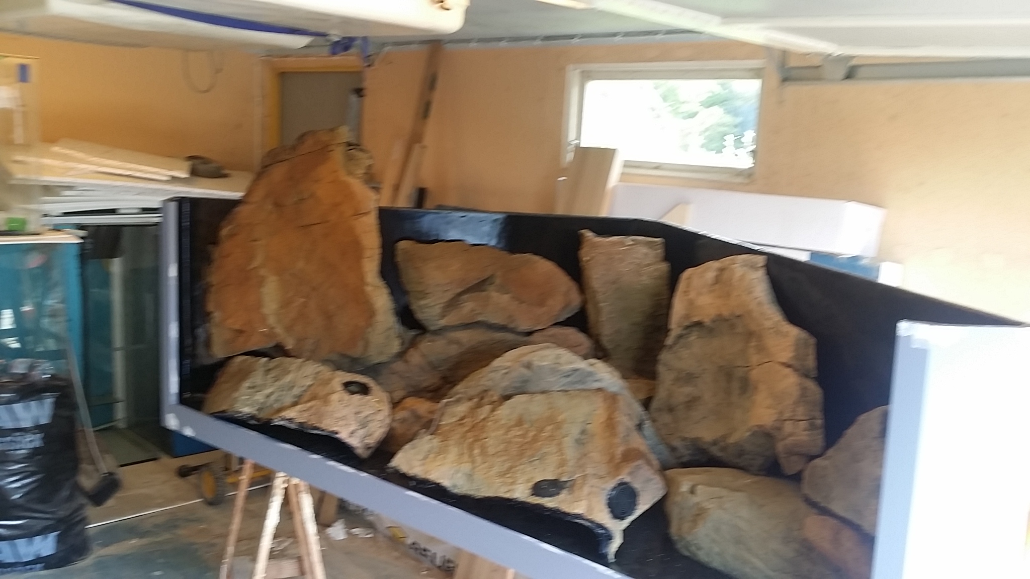 20150623_161613.jpg