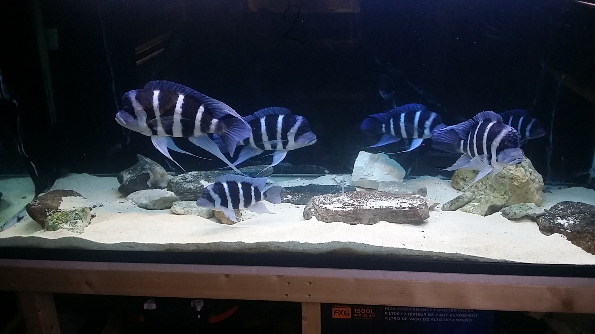 20150623_121108.jpg