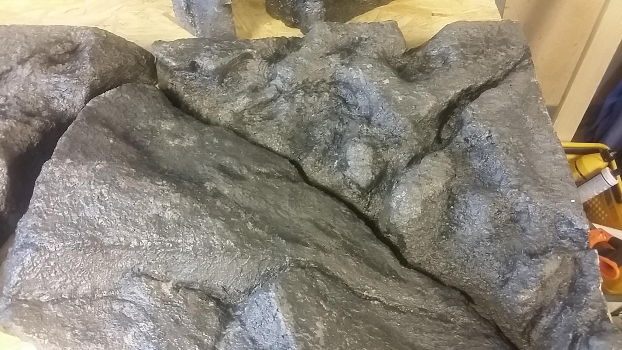 20150808_085155.jpg