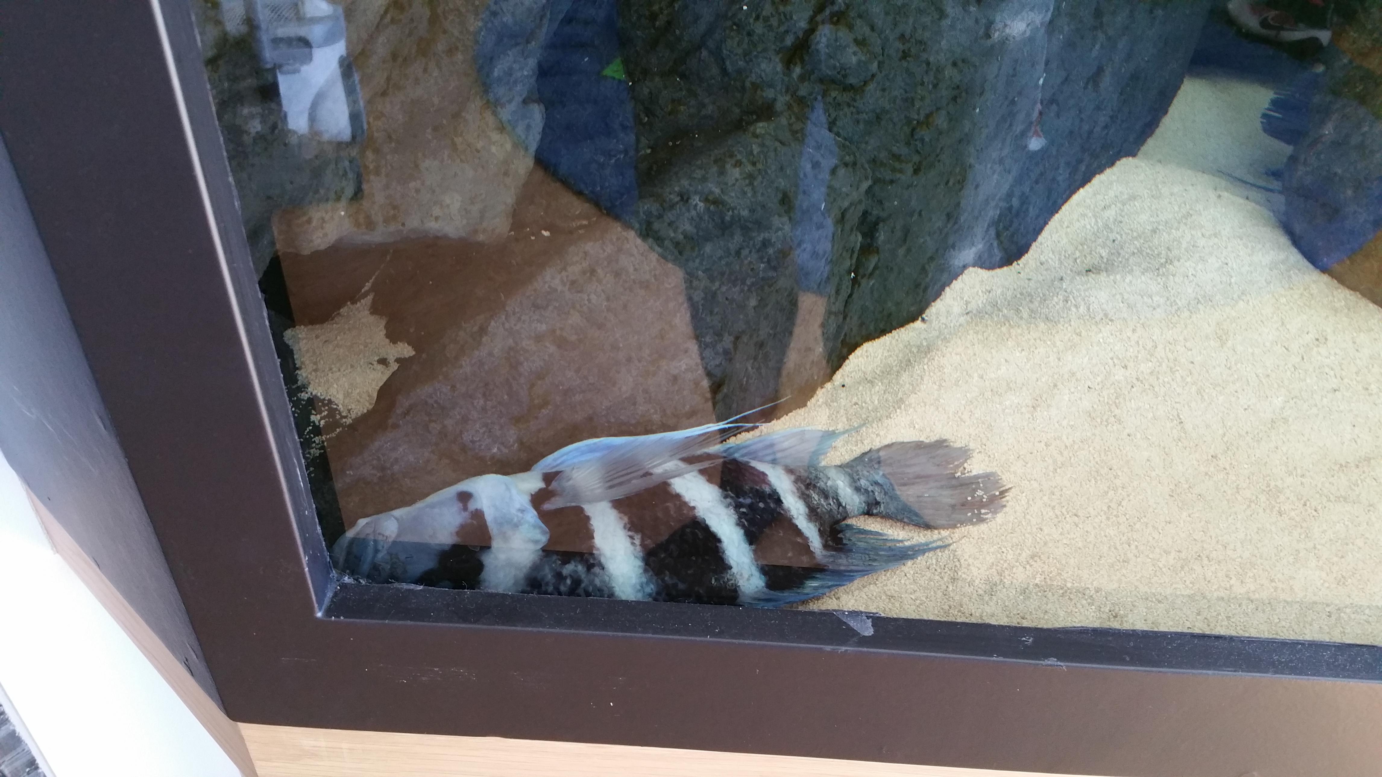 20160610_122007.jpg