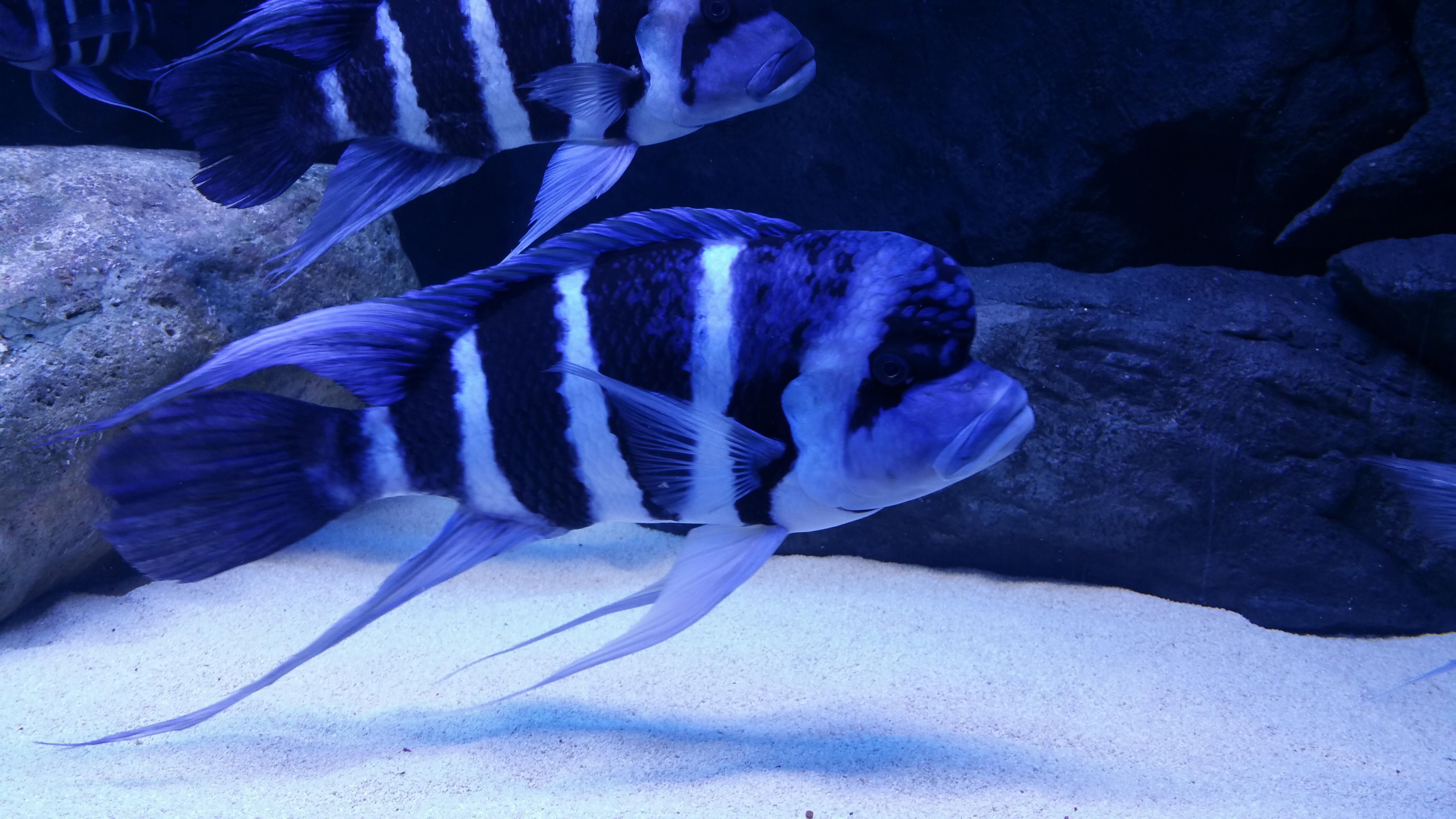 20160130_231651.jpg