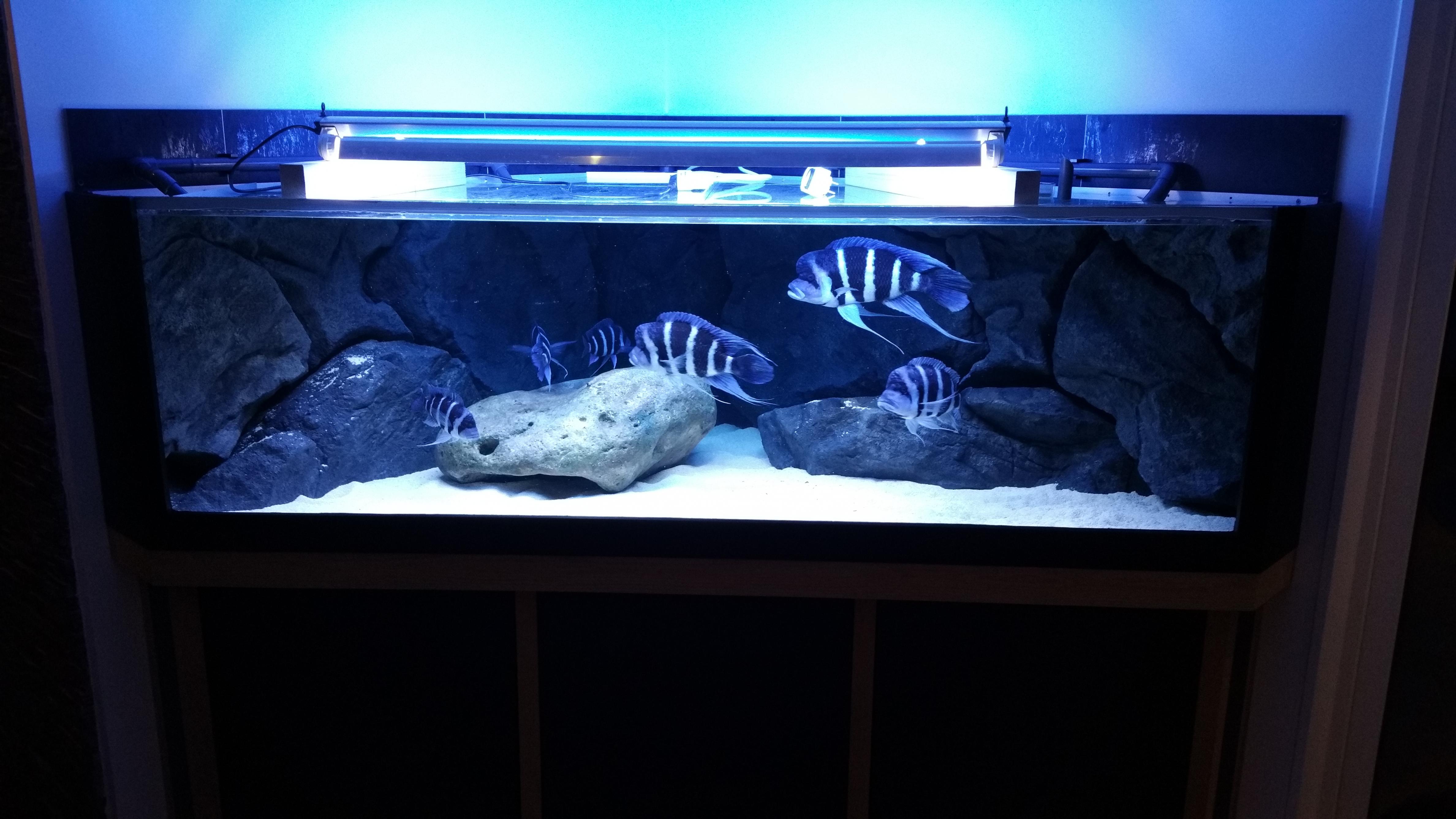 20160129_183540.jpg