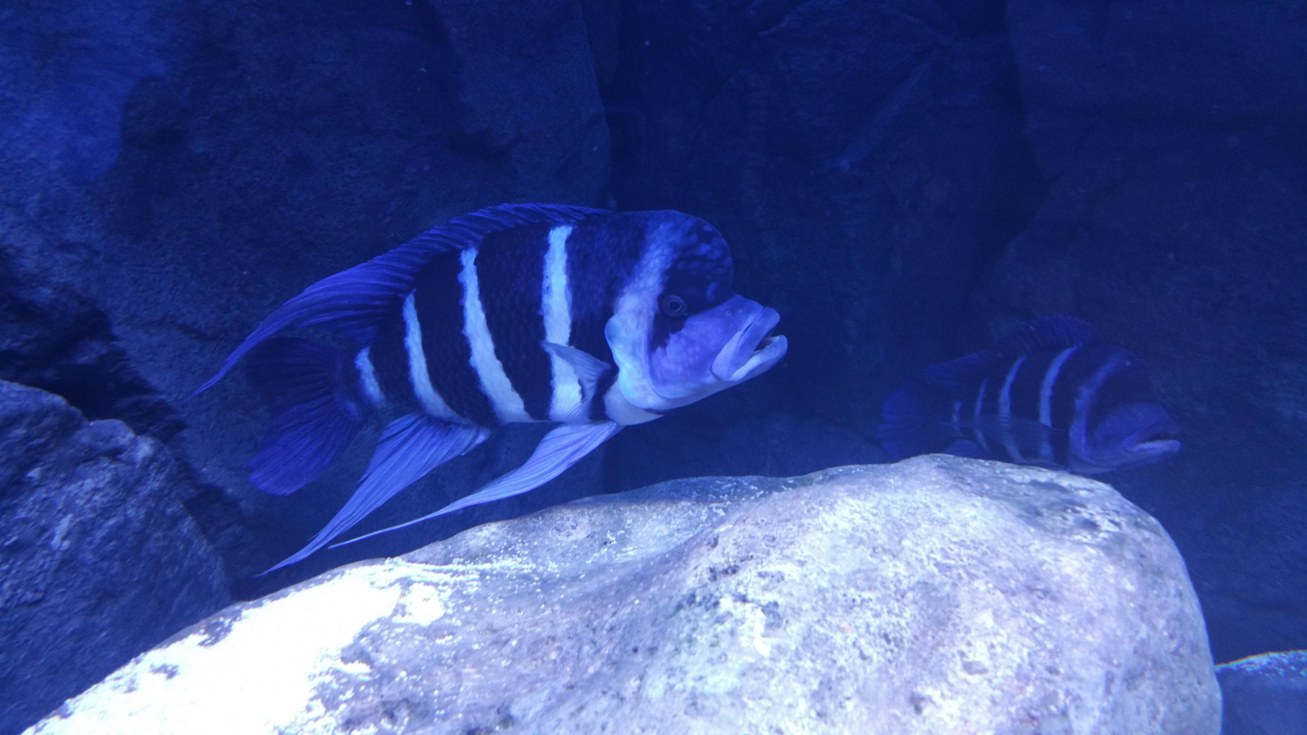 20160130_220029.jpg