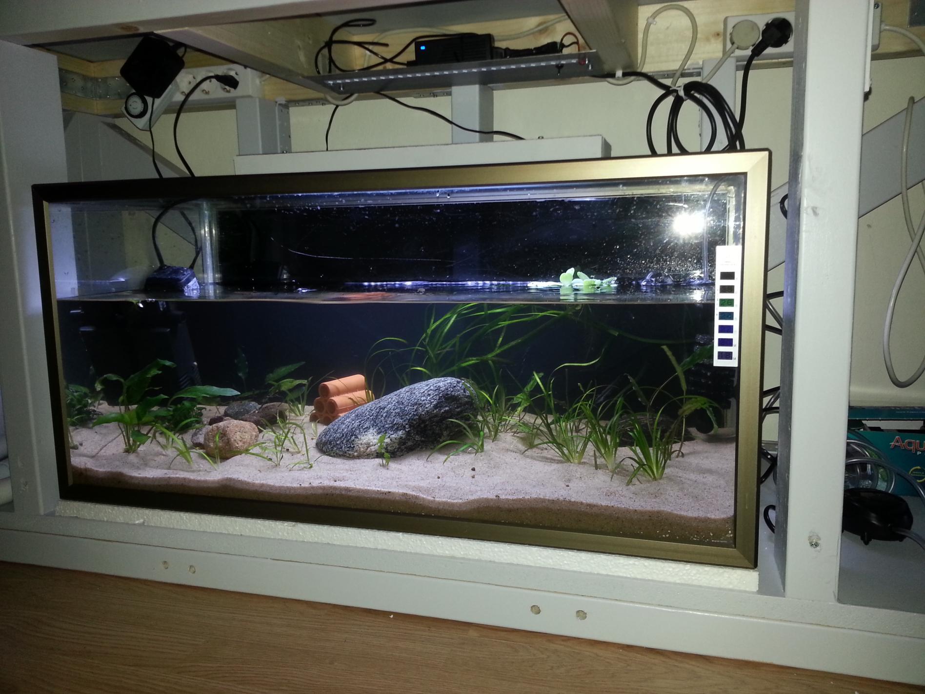 2015-03-23 20.44.27.jpg