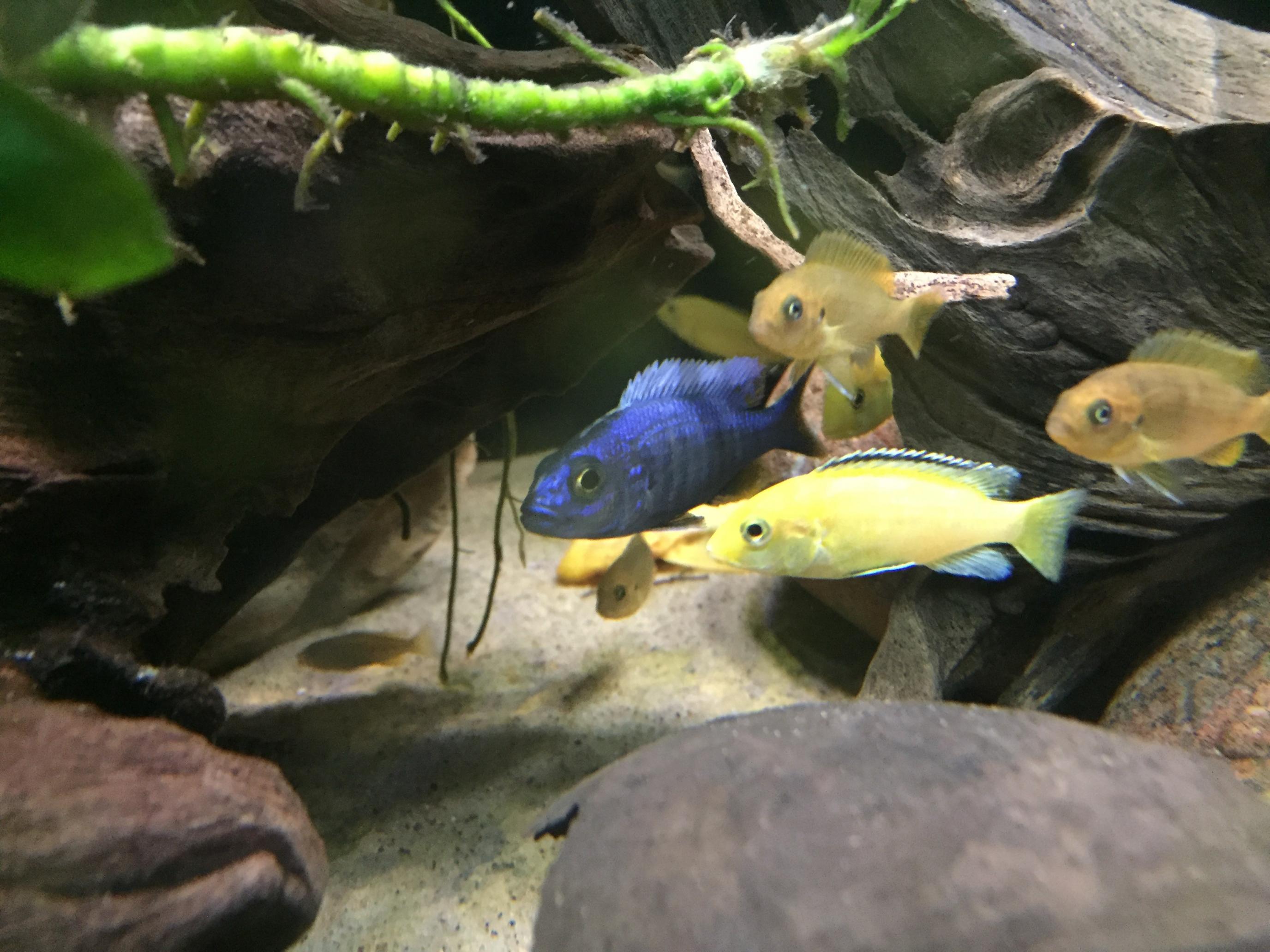 4E4AB46C-C2E6-49EC-B24B-7125D533BA24.jpeg