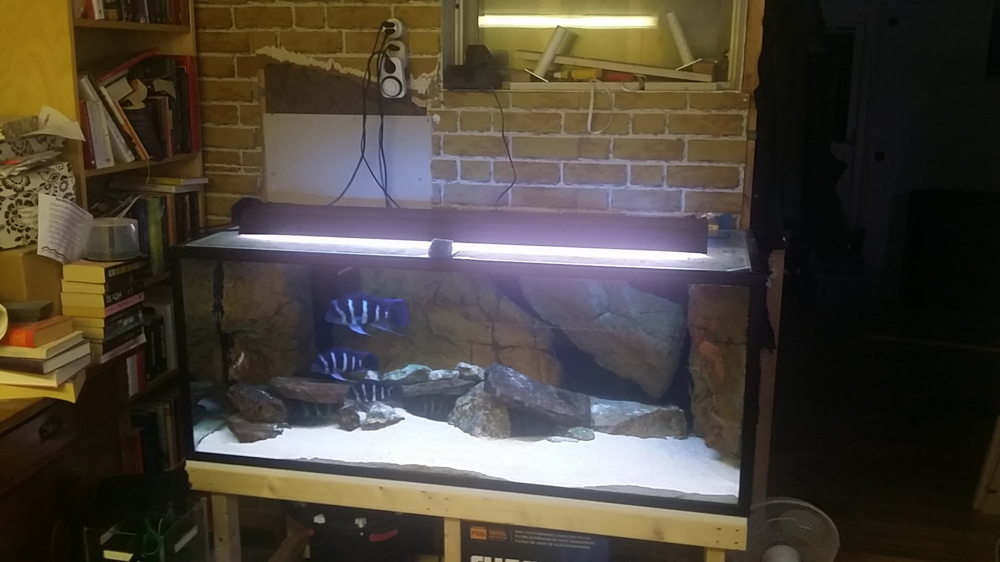 20150310_201646.jpg