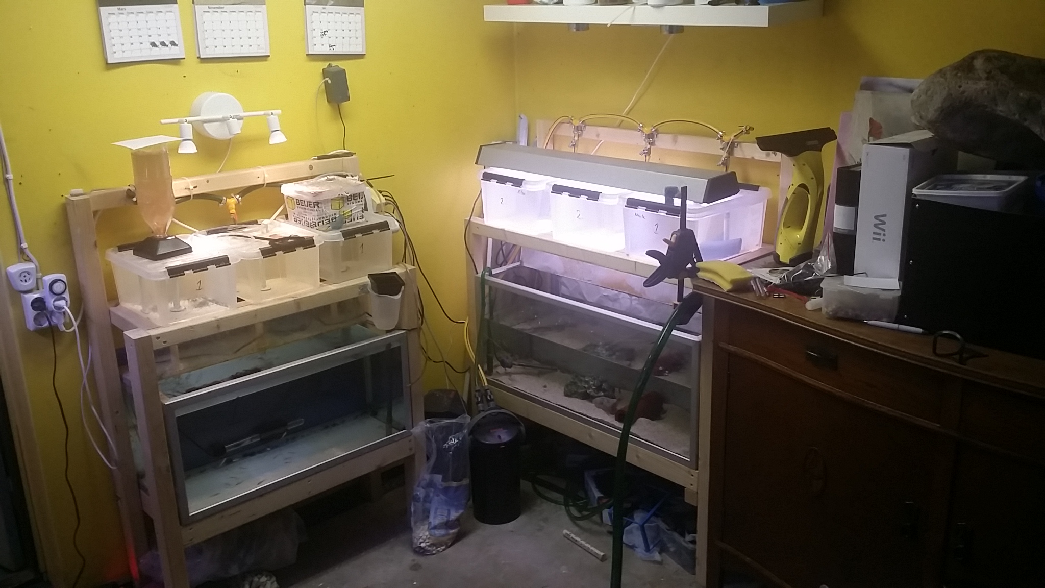 20150310_201619.jpg