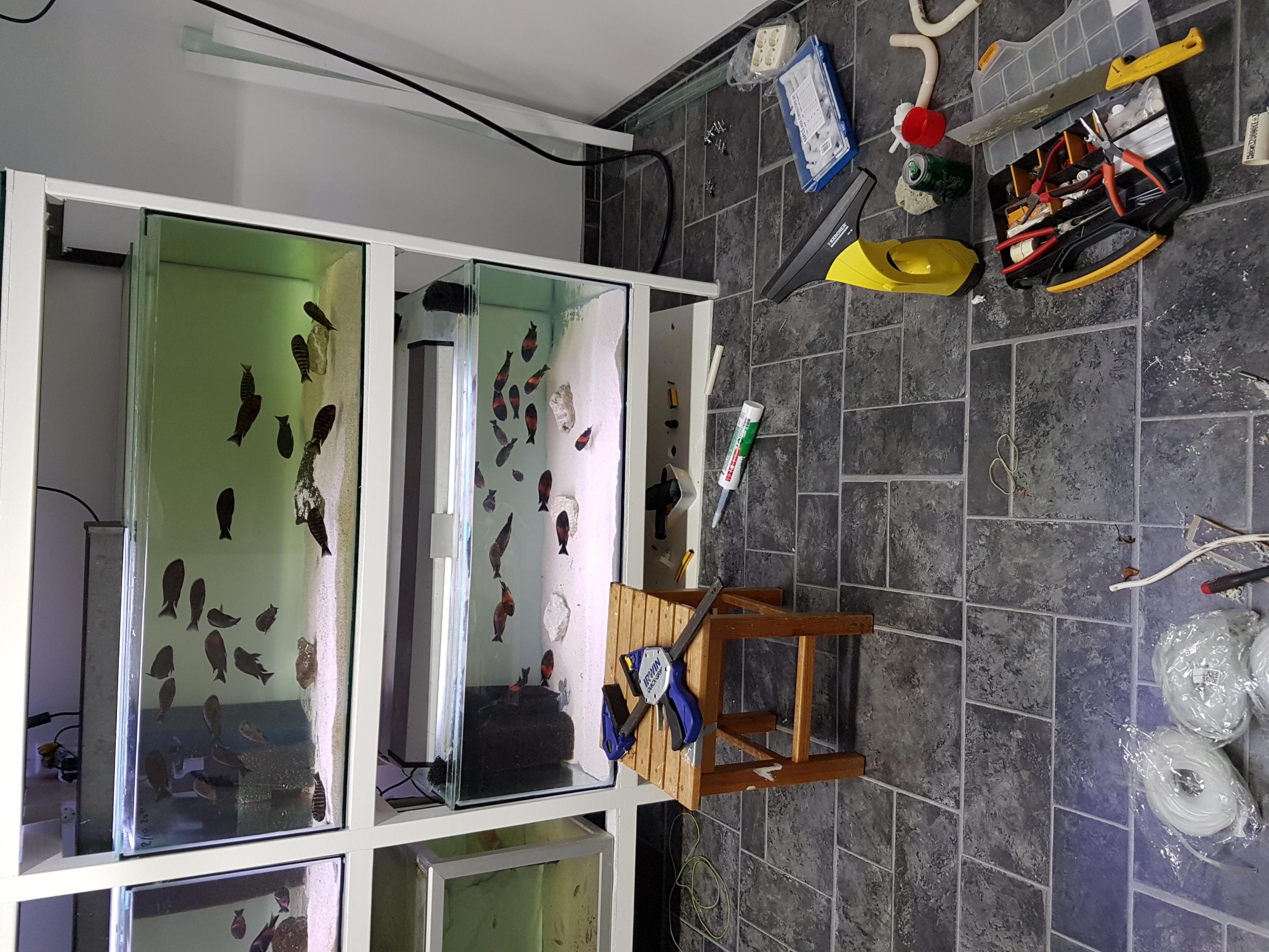 20161009_181455.jpg