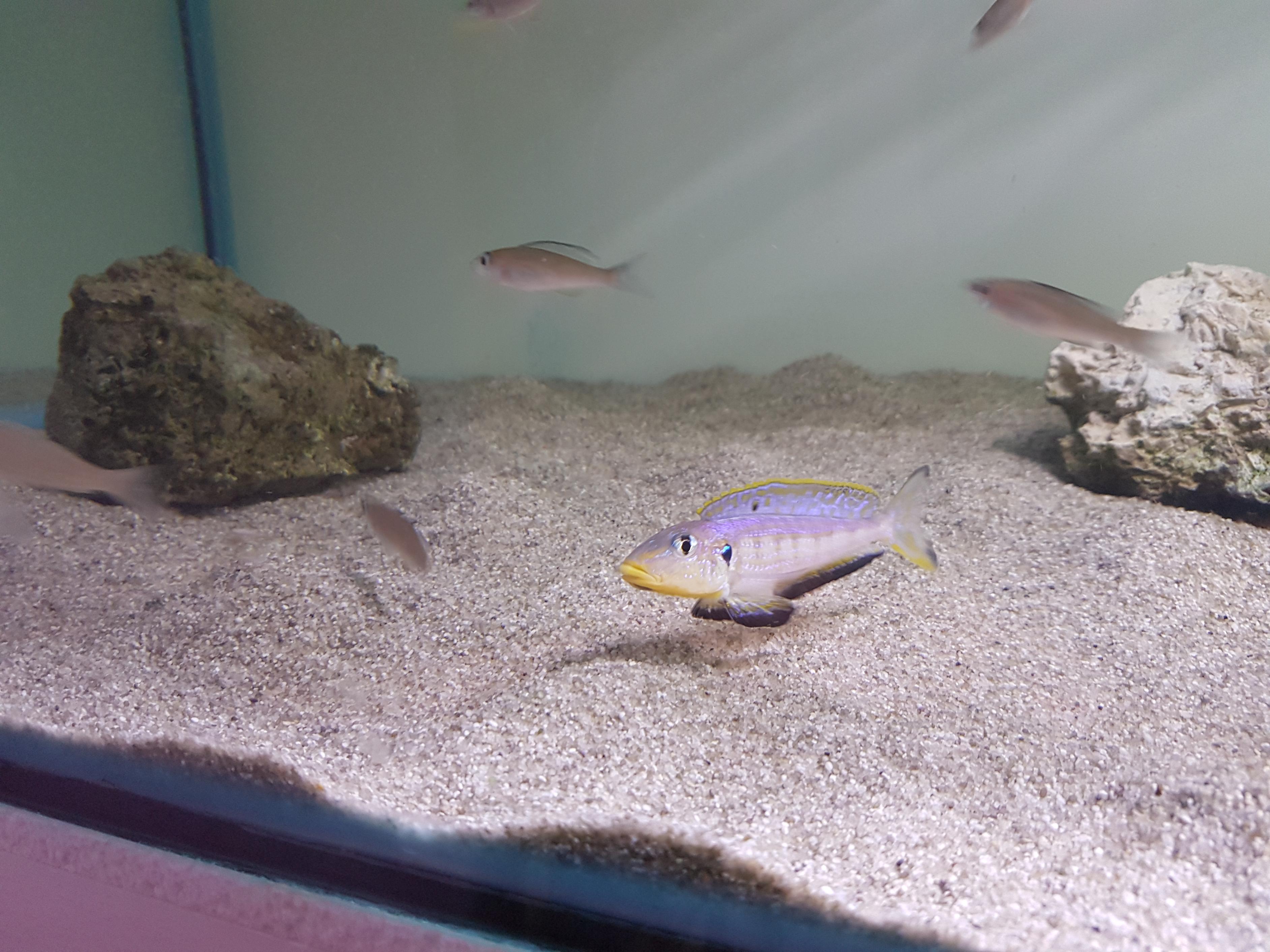 20161208_124449.jpg