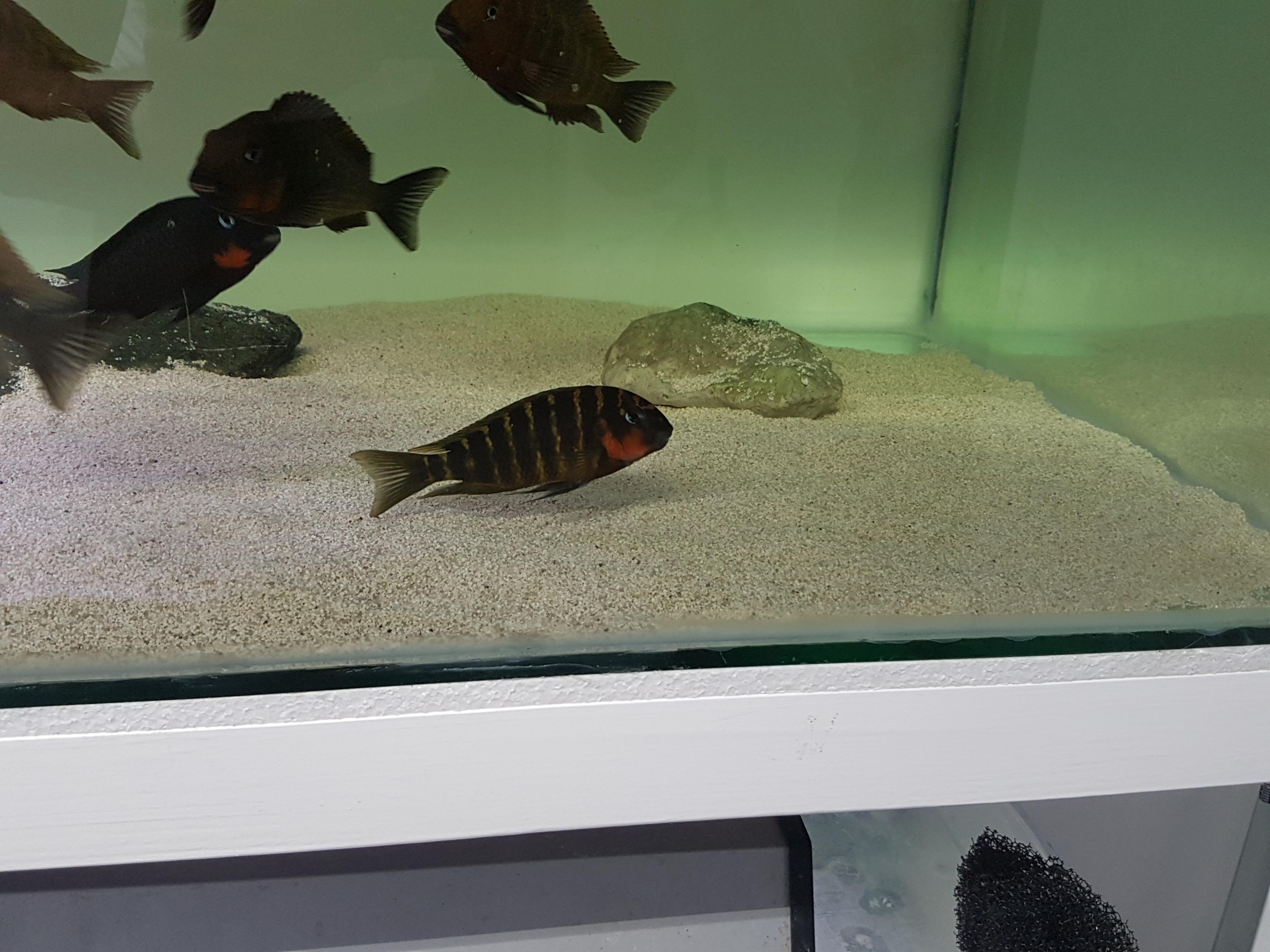 20161009_185725.jpg