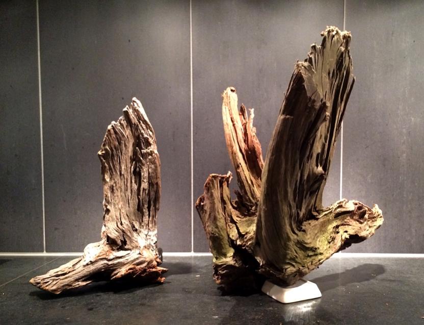 Rot_1&amp;2_001.jpg