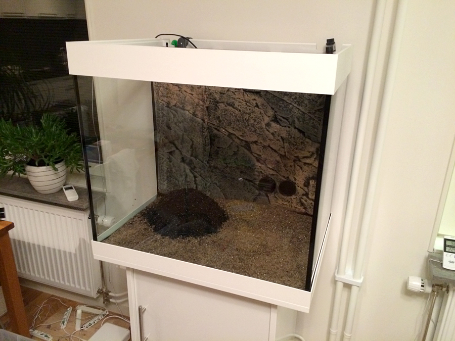 Scaping_001_Gravel_001.jpg
