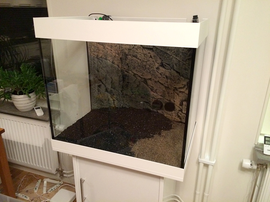 Scaping_002_Gravel_002.jpg