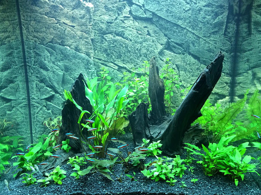 2014-04-17_Front.jpg