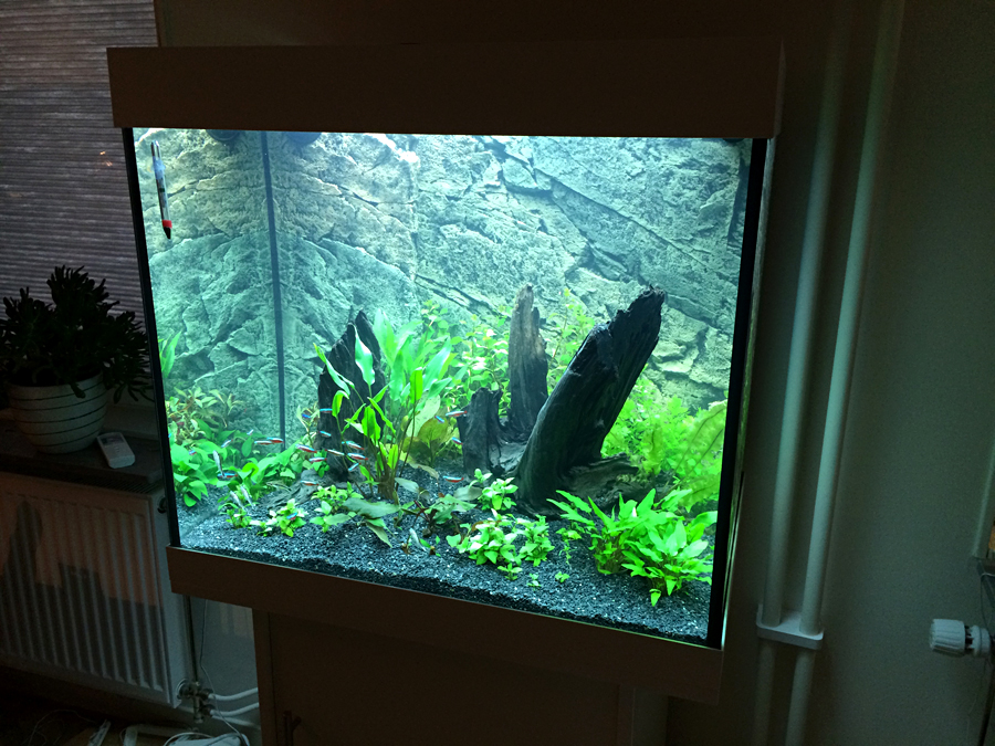 2014-04-17_Per.jpg