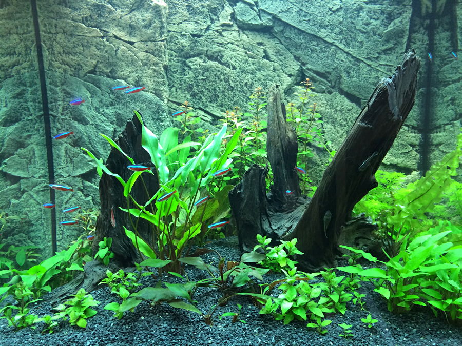 2014-04-19_Front.jpg