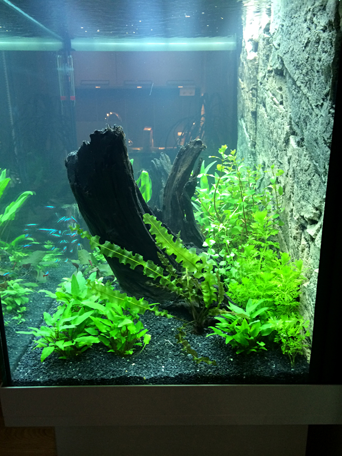 2014-04-17_Right.jpg