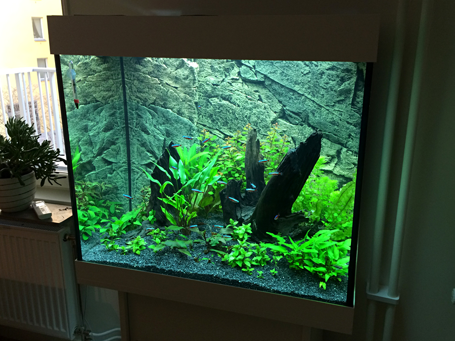 2014-04-19_Per.jpg