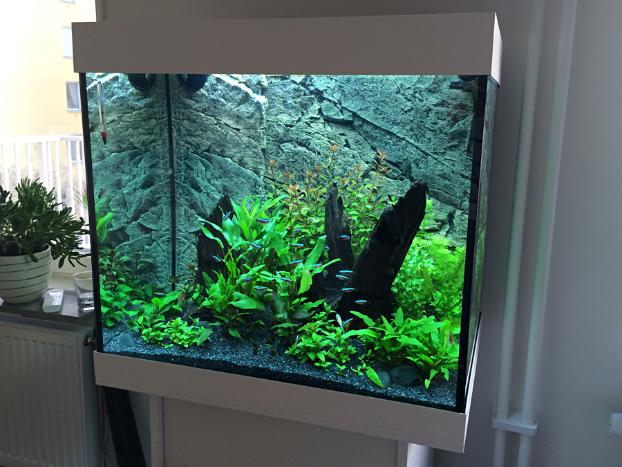 2014-04-22_Per.jpg
