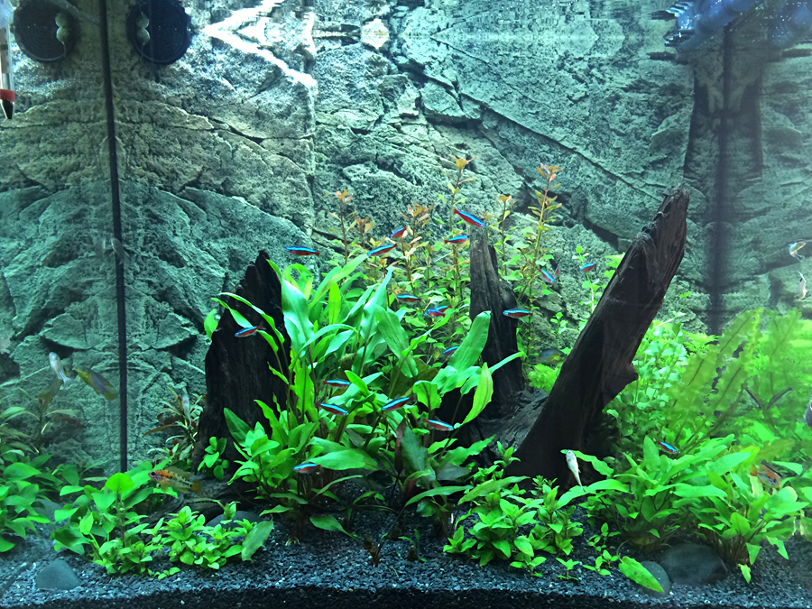 2014-04-22_Front.jpg