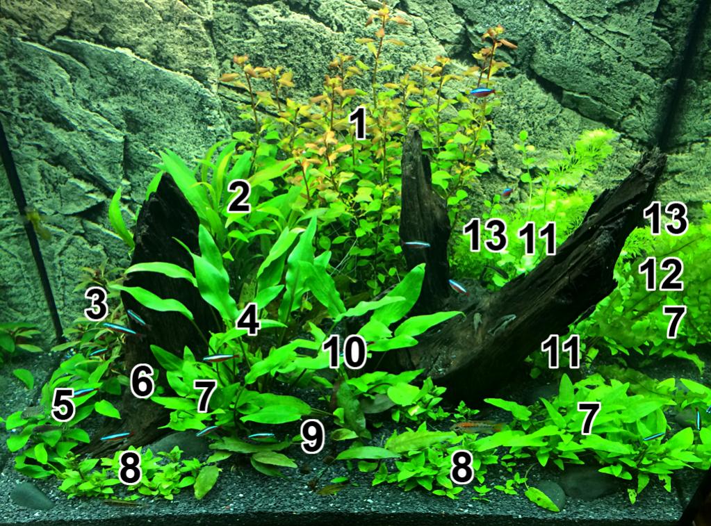 Plant_List_002.jpg