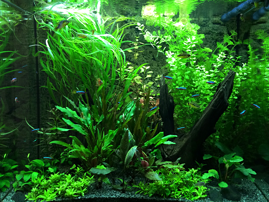 2014-06-01_Front.jpg
