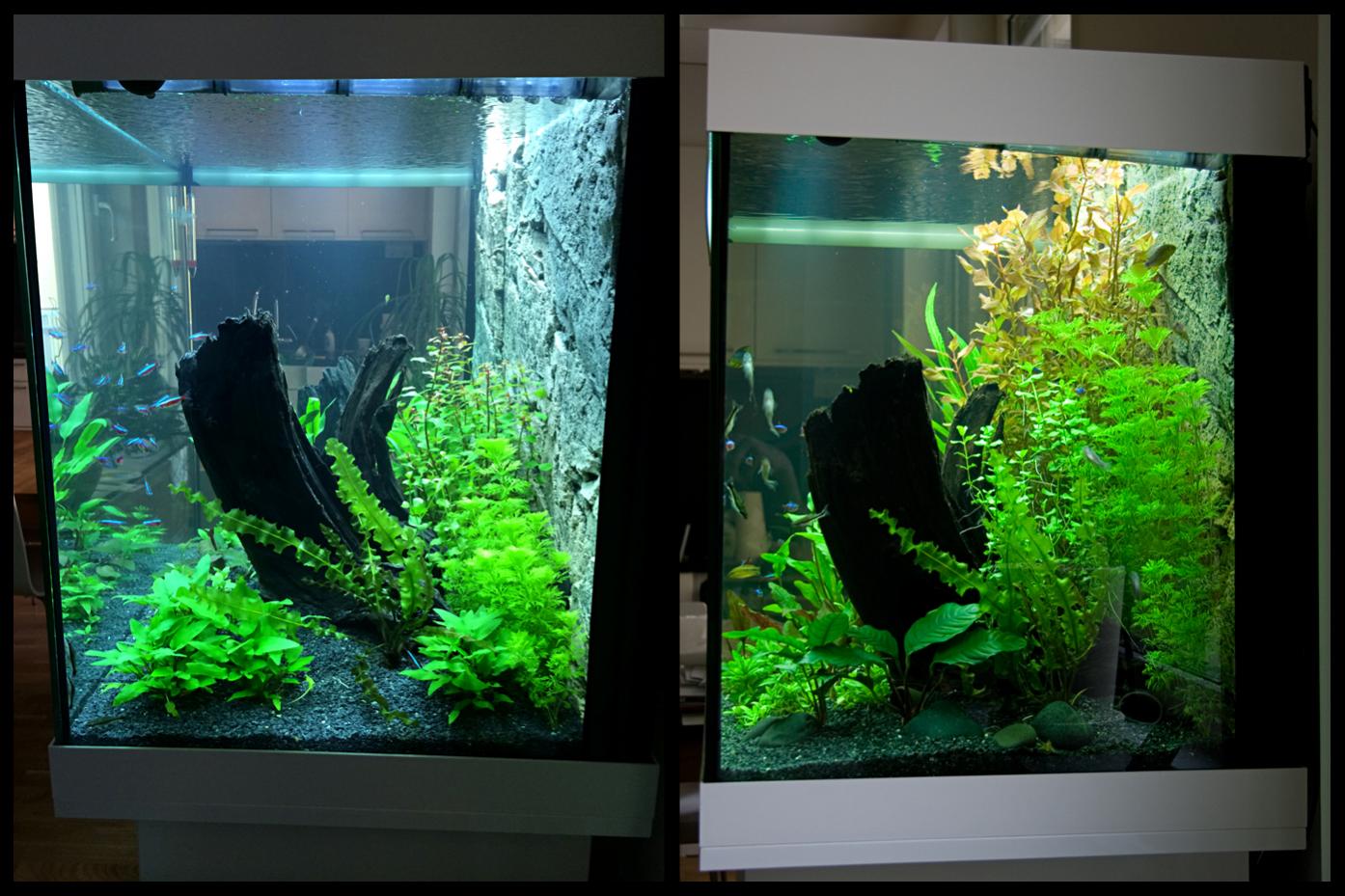 2014-04-19-vs-2014-05-01_Right_12-days.jpg